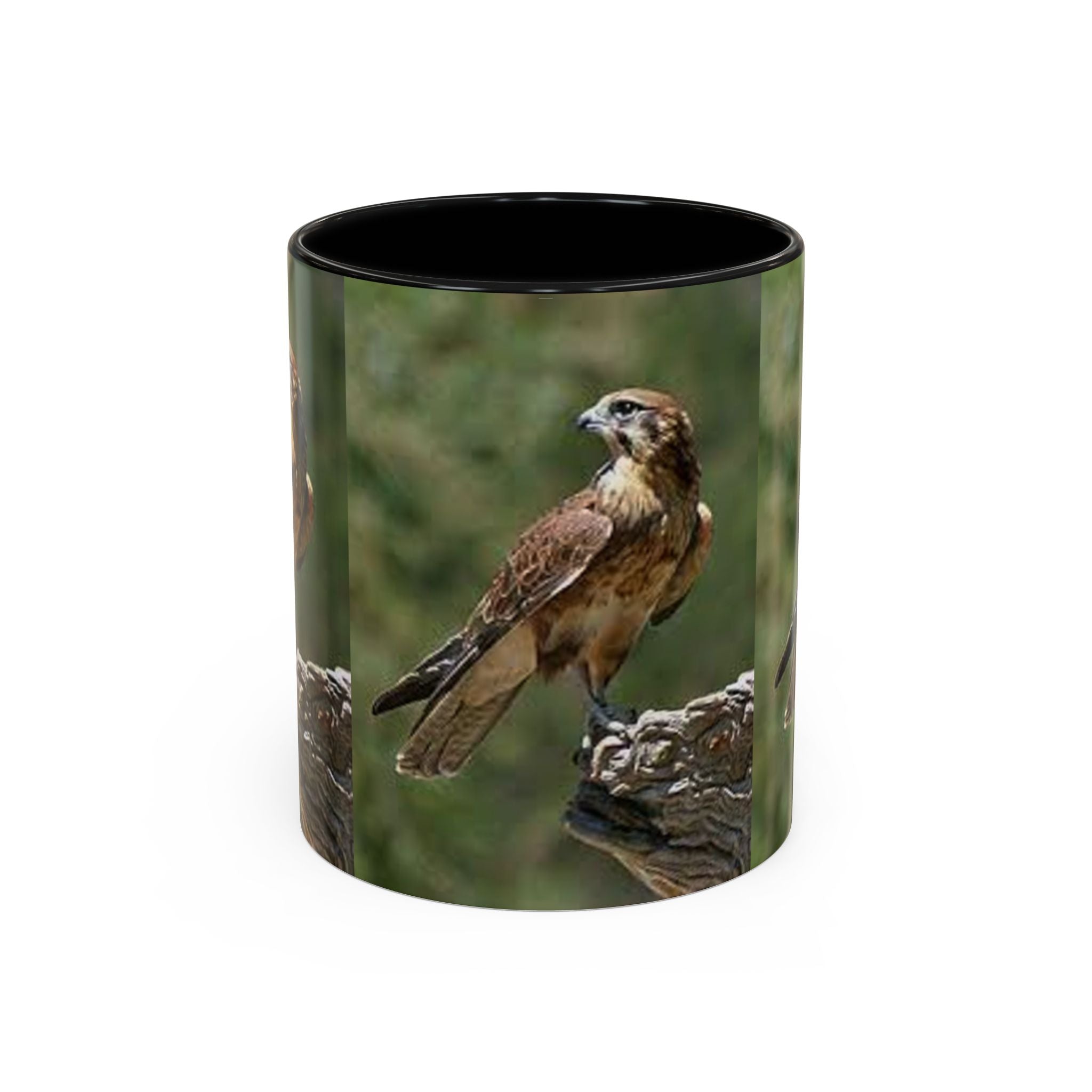 Kestrel Falcon Photo Mug | Accent Coffee Mug 11oz 15oz
