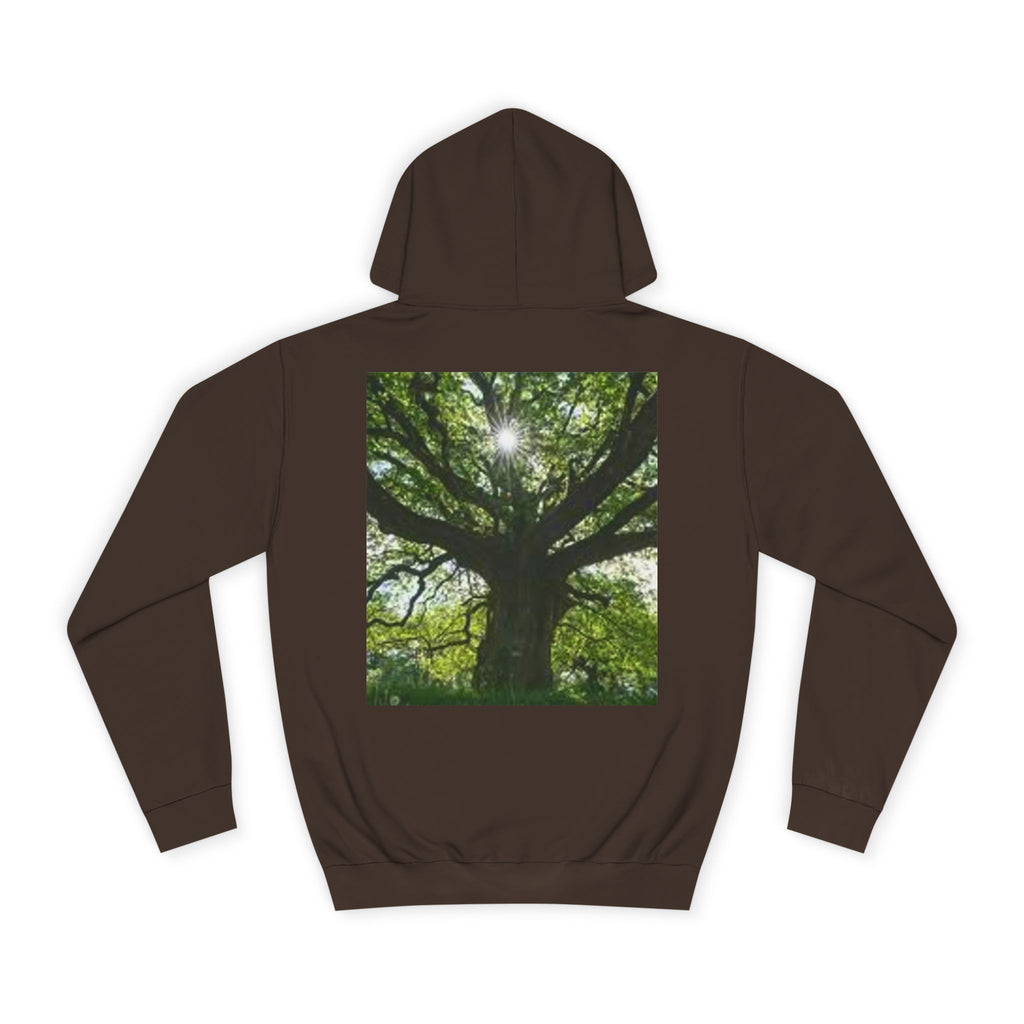 Sunlit Oak Tree Hoodie | Forest Nature Photography, Green Tree Sweatshirt