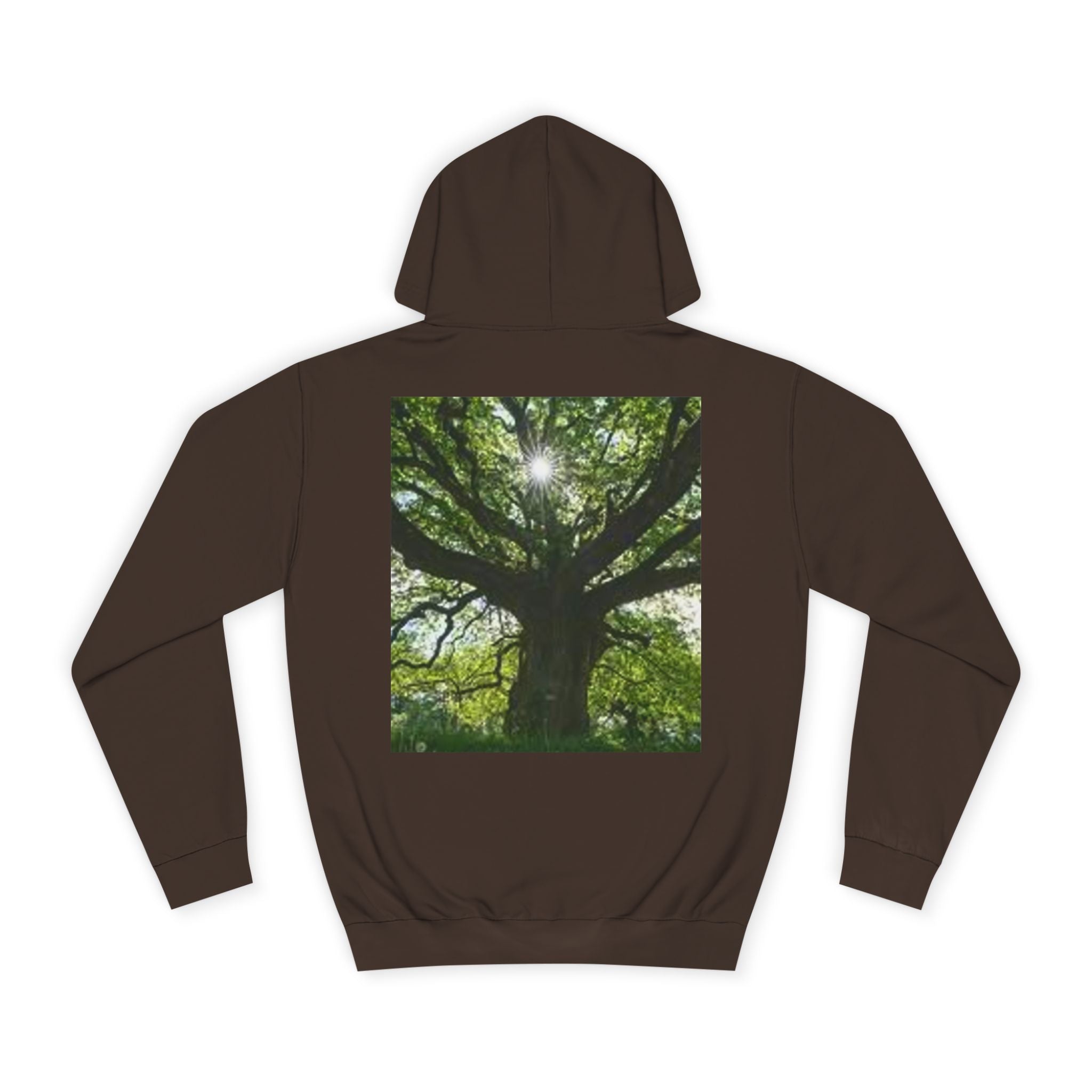 Sunlit Oak Tree Hoodie | Forest Nature Photography, Green Tree Sweatshirt