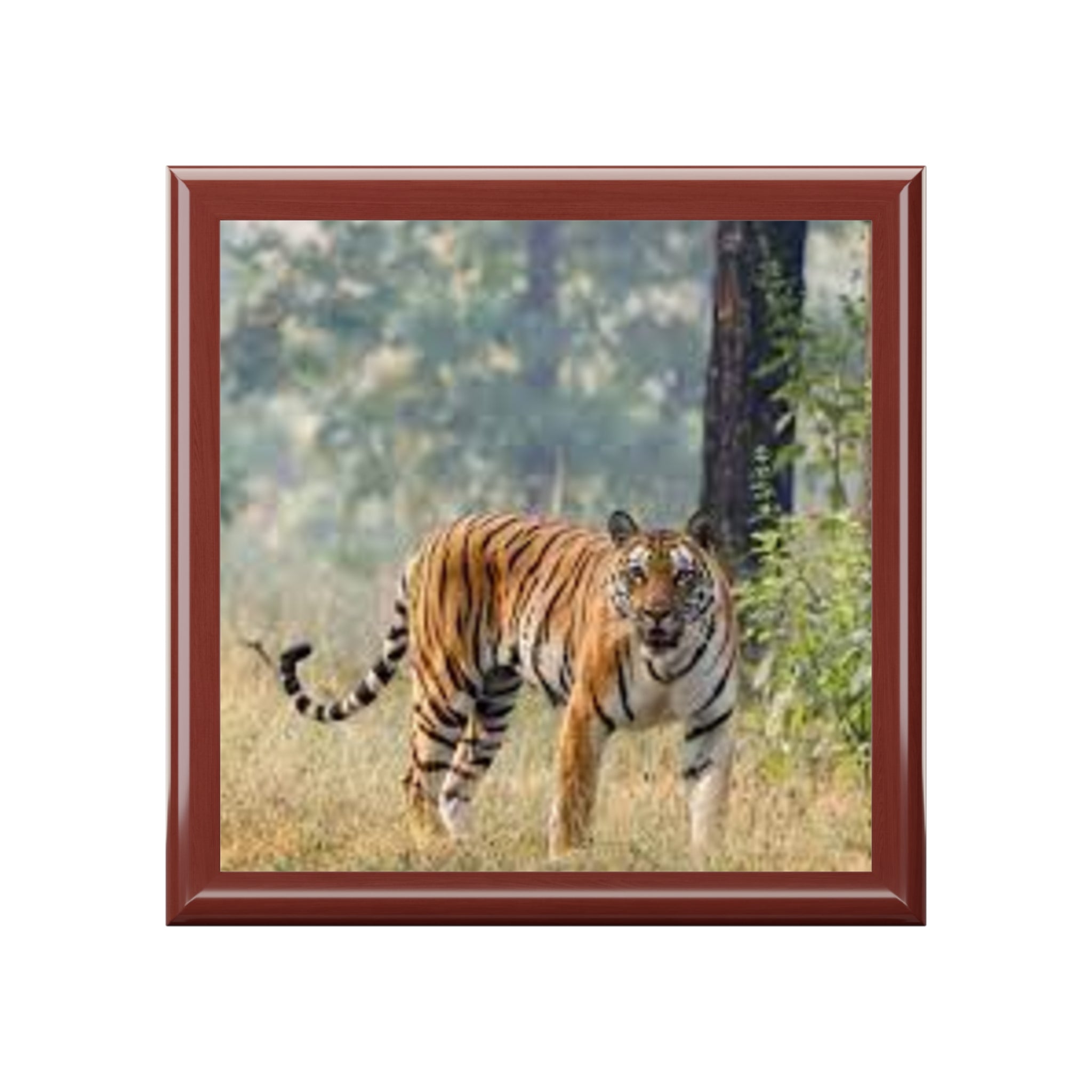 Bengal Tiger Portrait Jewelry Box | Black Lacquer Trinket Storage