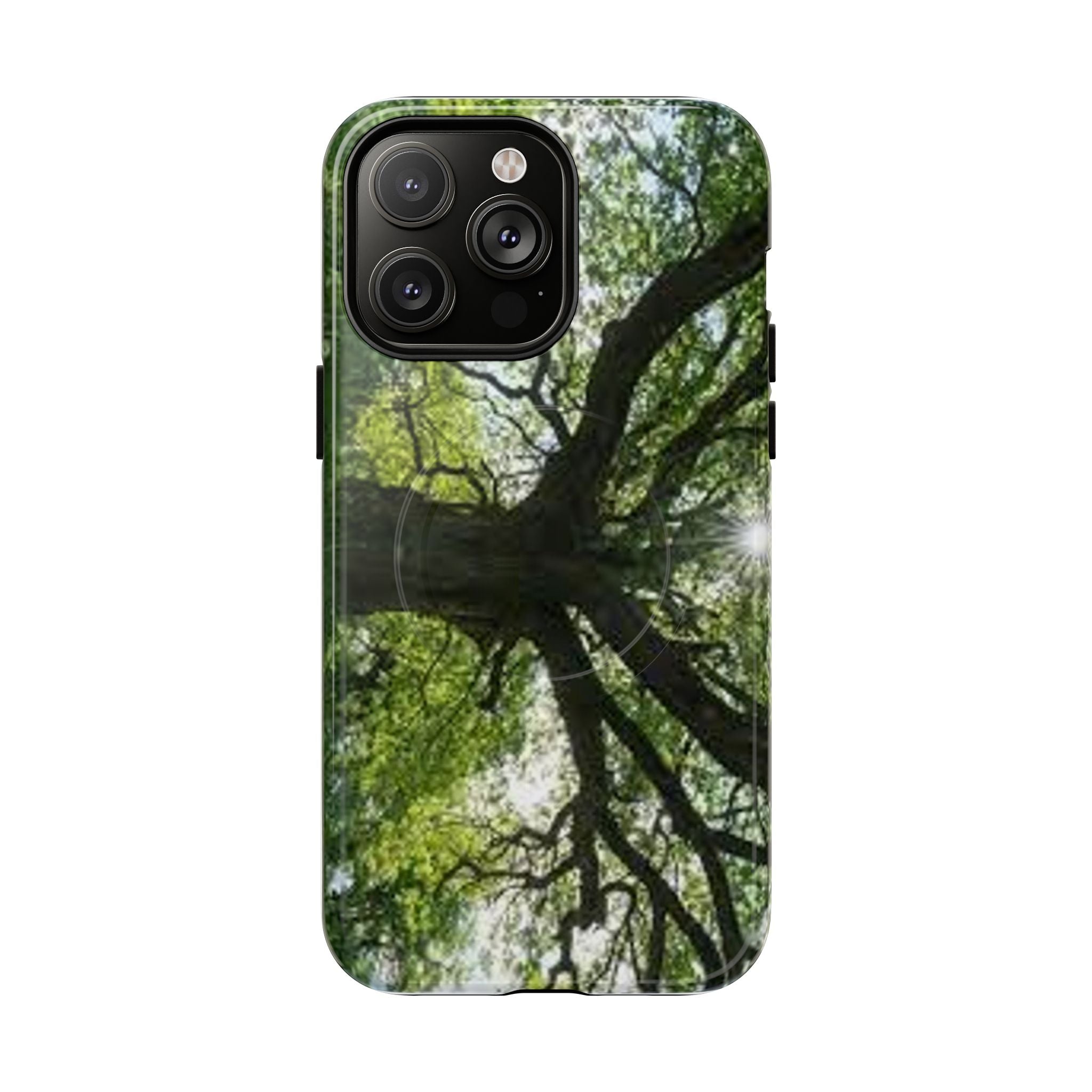 Sunlit Oak Tree Phone Case | Tough Magnetic Case