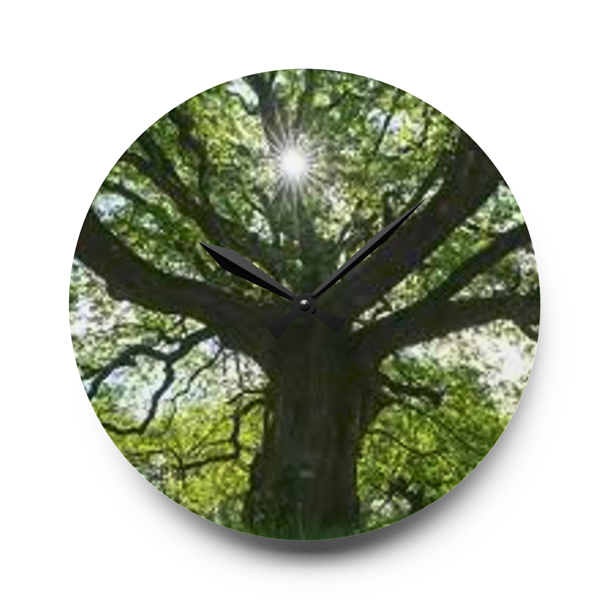Sunlit Oak Tree Acrylic Wall Clock | Nature Forest Decor