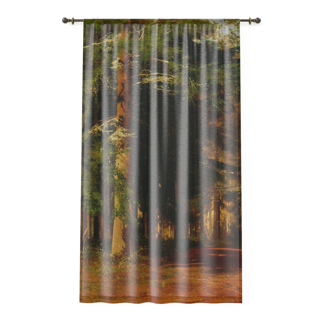 Autumn Forest Window Curtain | Woodland Trees Path Sheer Panel
