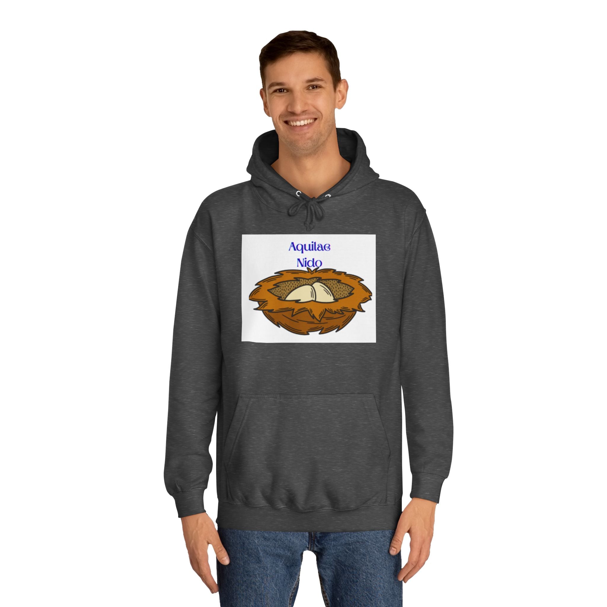 Aquilae Nido Nest Illustration Hoodie | College Crest Style