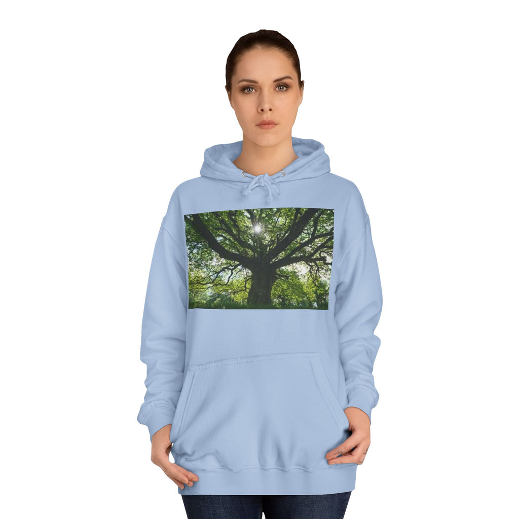 Sunlit Oak Tree Hoodie | Forest Nature Photography, Green Tree Sweatshirt