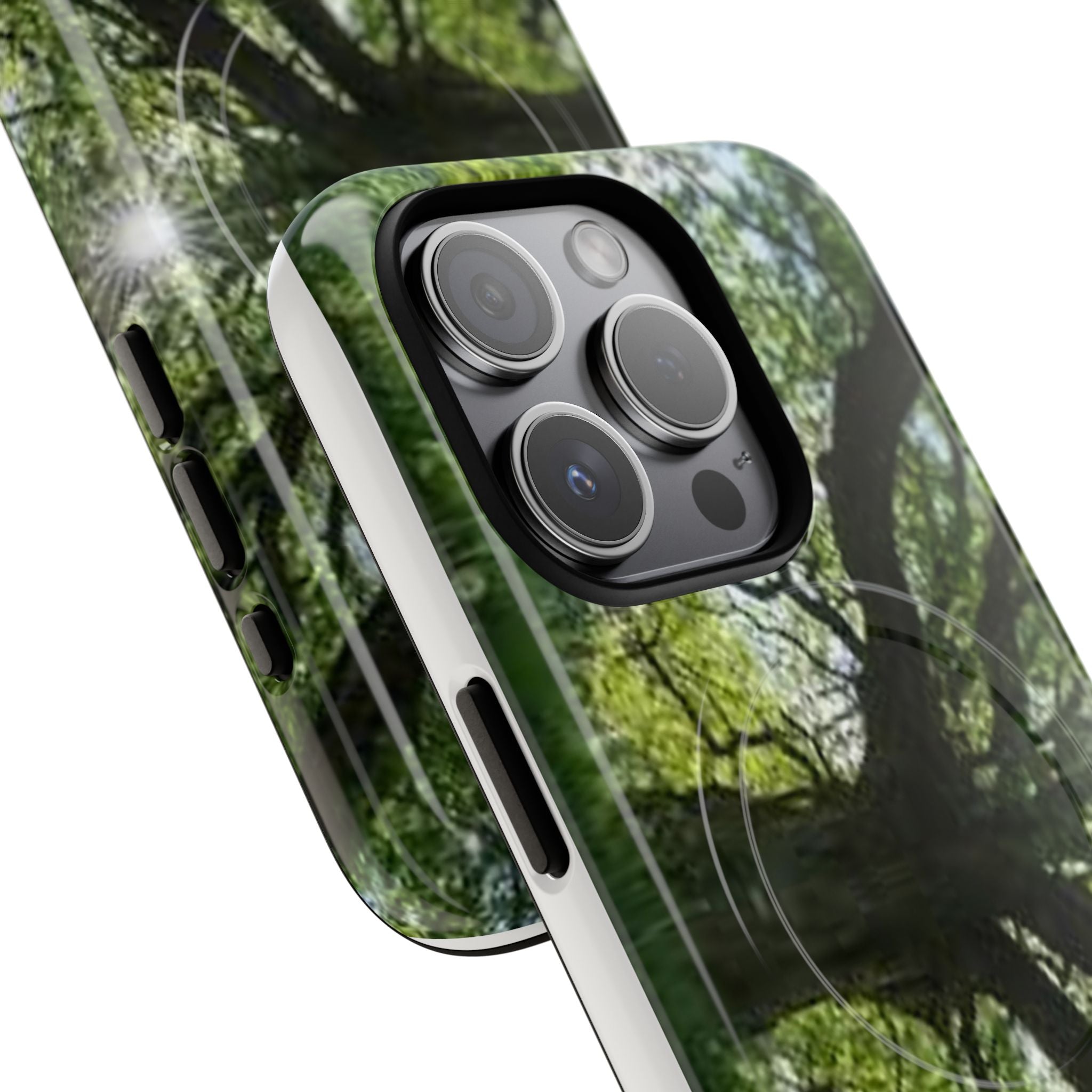 Sunlit Oak Tree Phone Case | Tough Magnetic Case