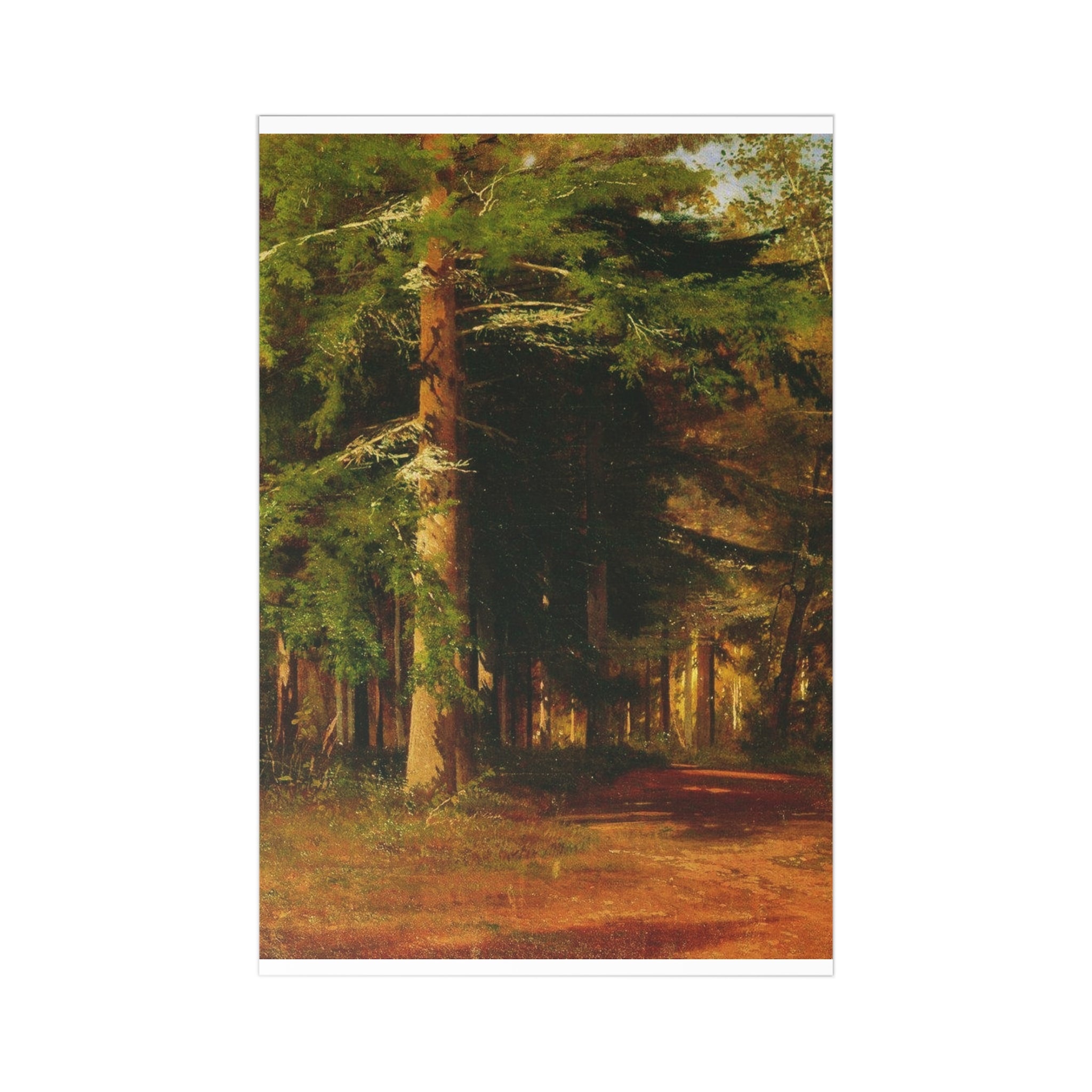 Forest Path Postcards | Vintage Landscape Art, Set of 7