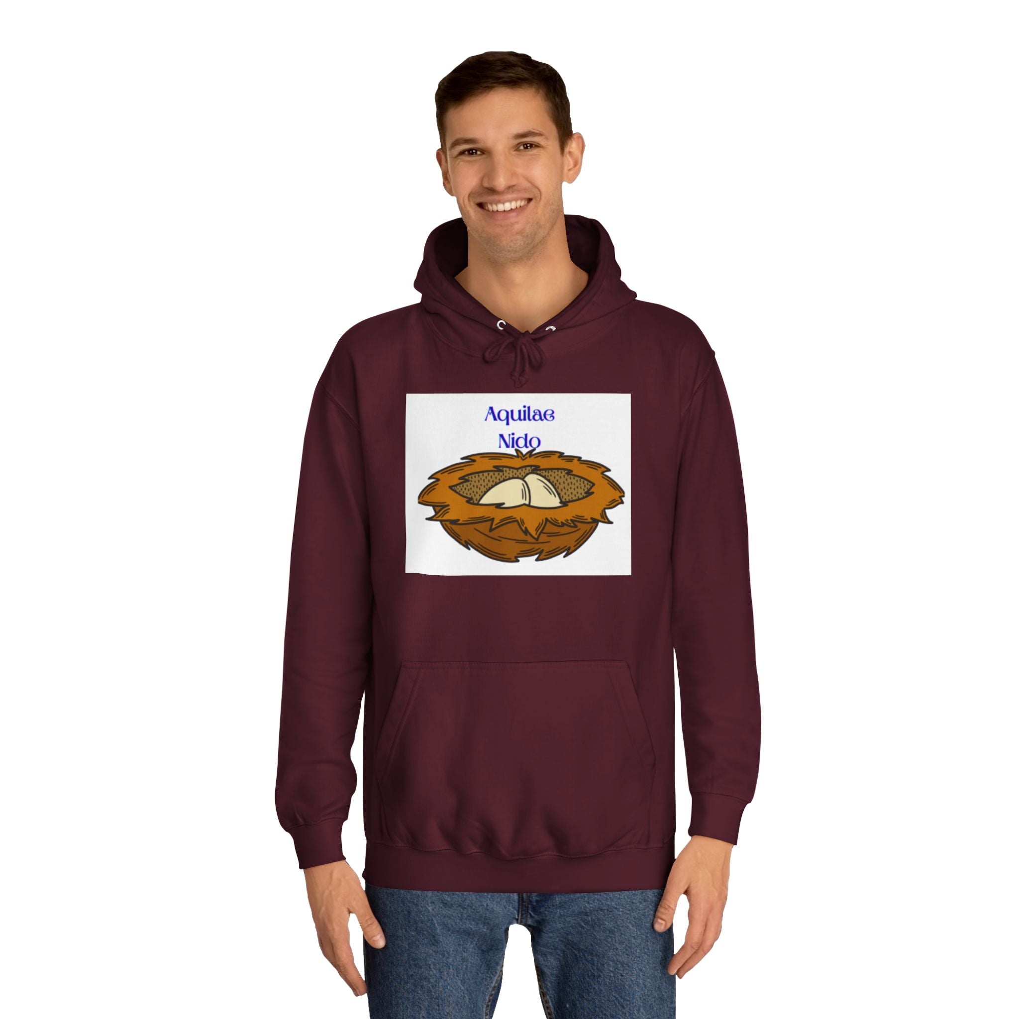 Aquilae Nido Nest Illustration Hoodie | College Crest Style
