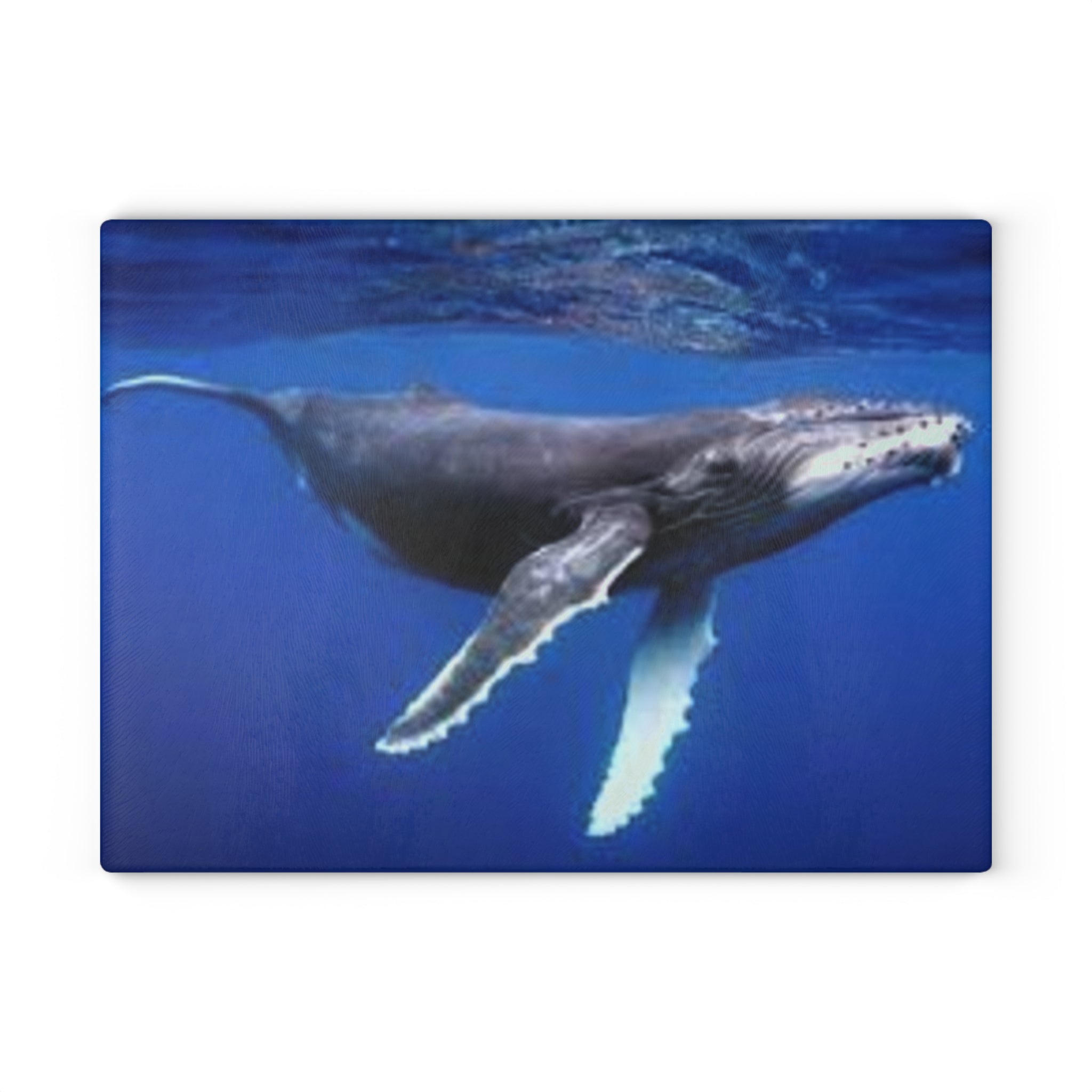 Humpback Whale Ocean Photo Glass Cutting Board | Marine Kitchen Decor