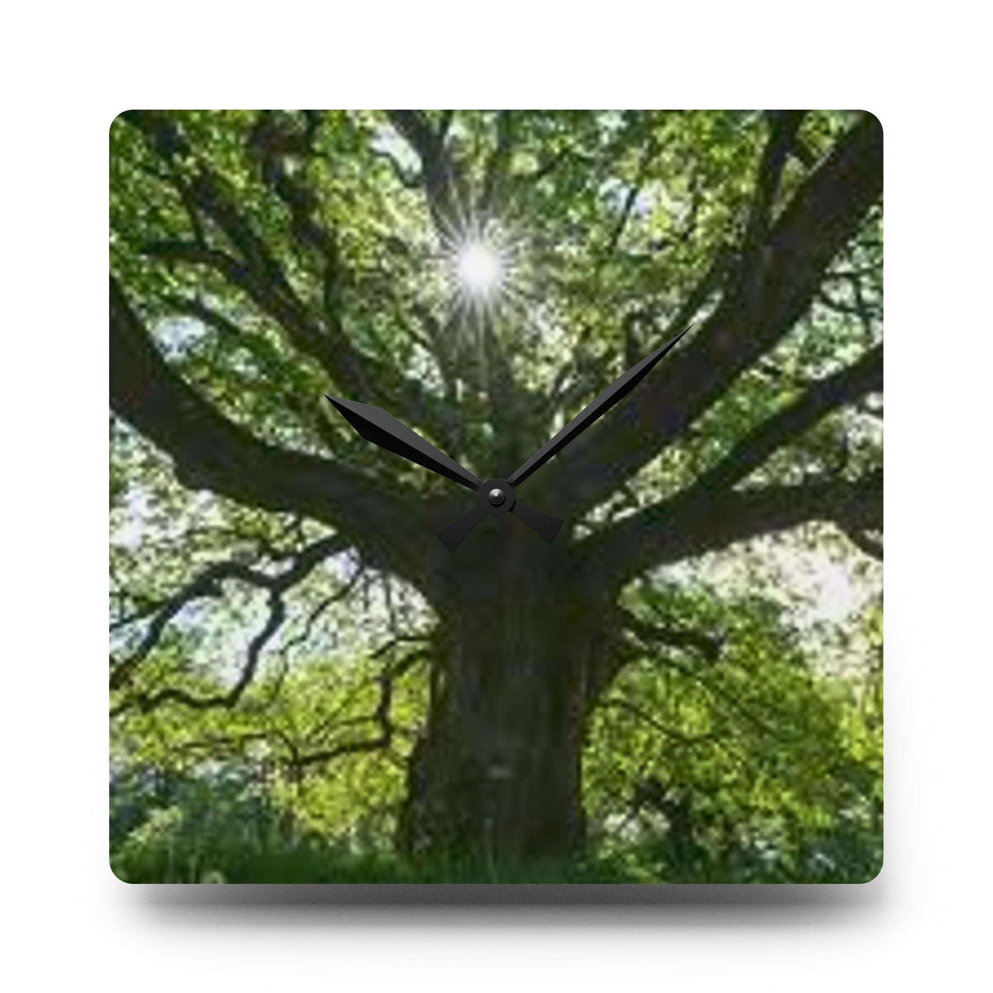 Sunlit Oak Tree Acrylic Wall Clock | Nature Forest Decor