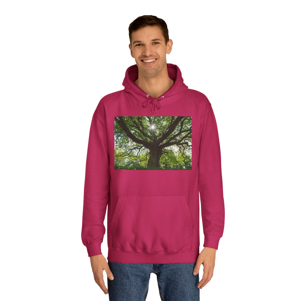 Sunlit Oak Tree Hoodie | Forest Nature Photography, Green Tree Sweatshirt