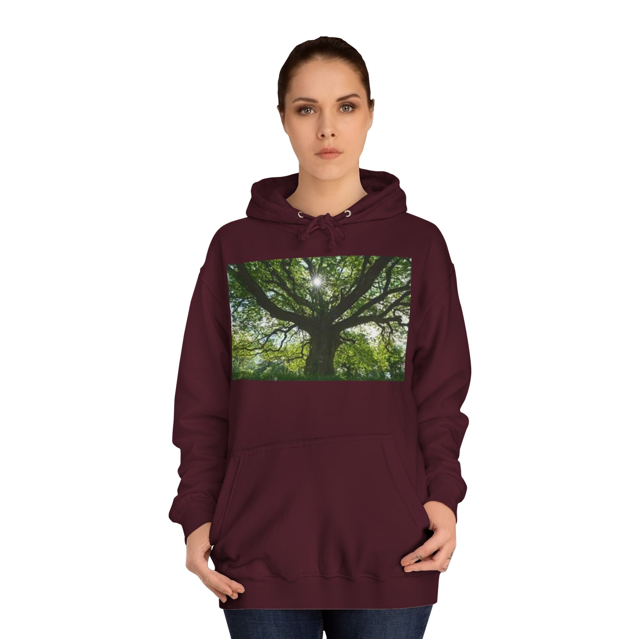 Sunlit Oak Tree Hoodie | Forest Nature Photography, Green Tree Sweatshirt
