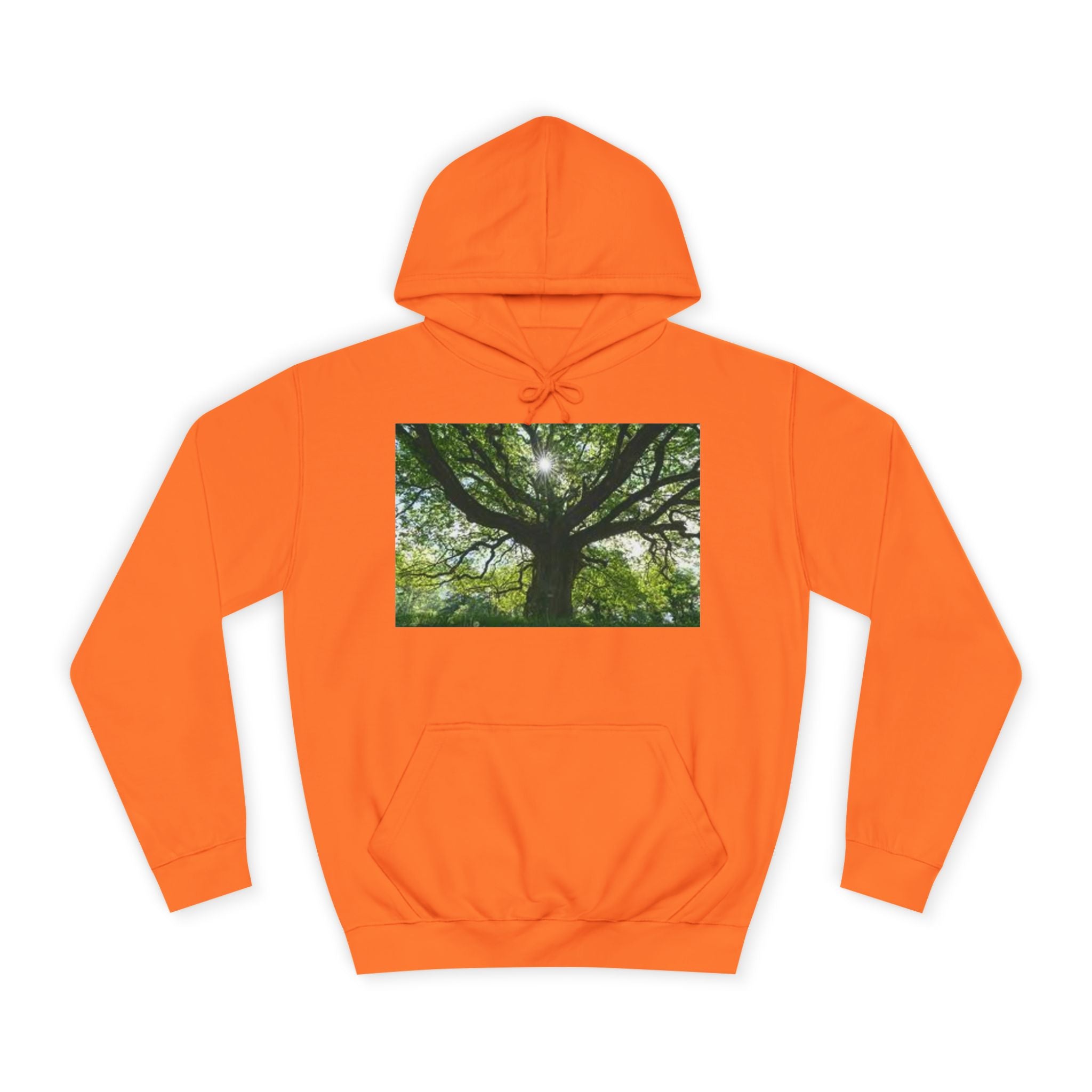 Sunlit Oak Tree Hoodie | Forest Nature Photography, Green Tree Sweatshirt