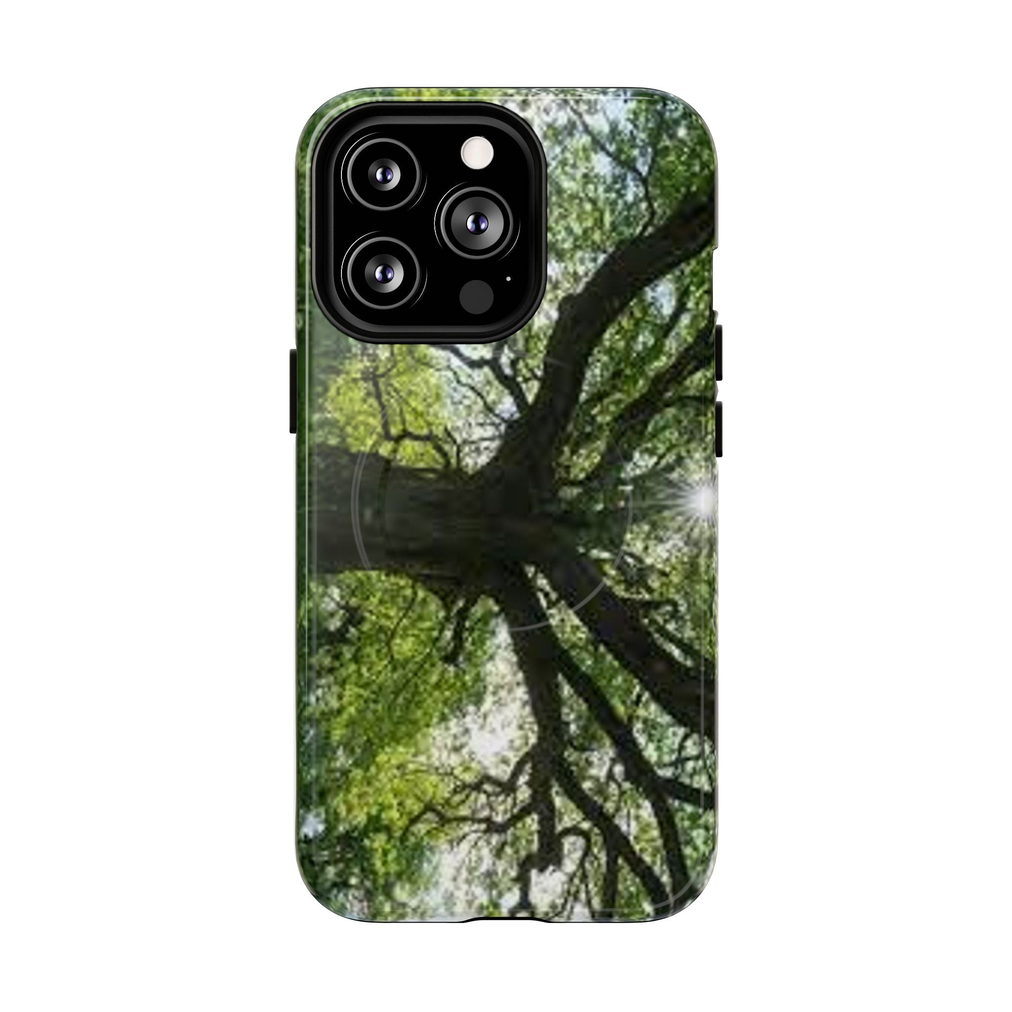 Sunlit Oak Tree Phone Case | Tough Magnetic Case