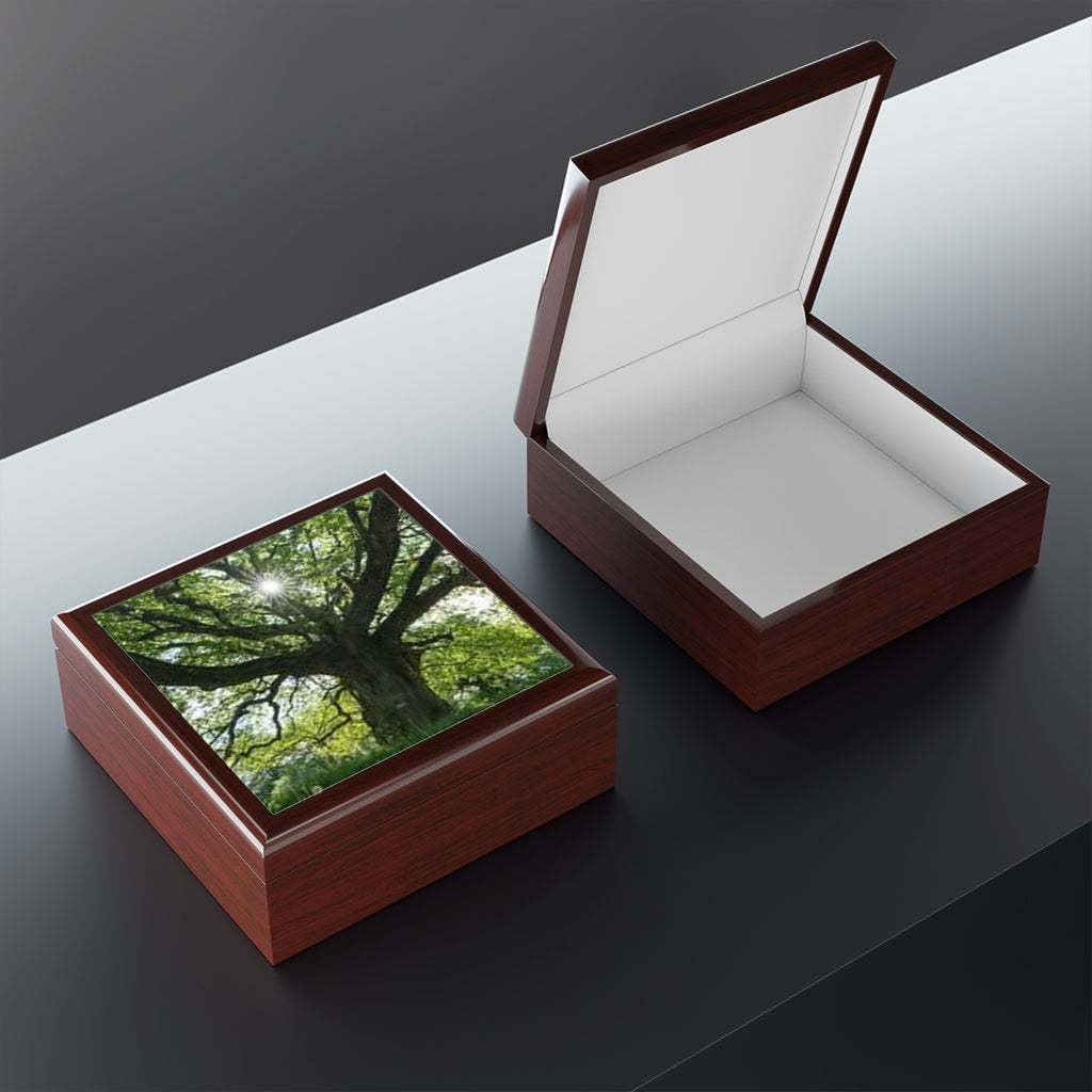 Sunlit Oak Tree Jewelry Box | Nature Woodland Keepsake