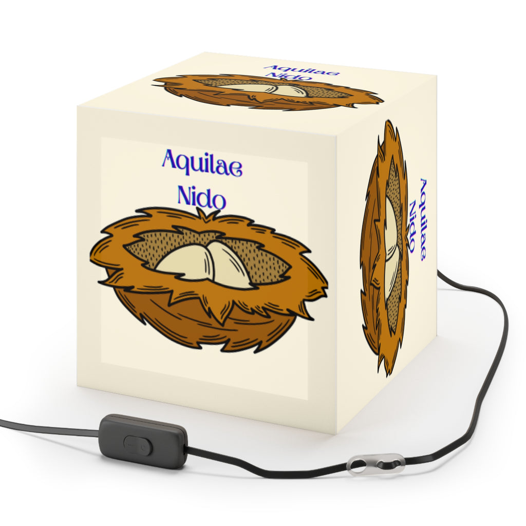 Nest with Eagle Eggs Light Cube Lamp | Nesting Bird Illustration, Latin Text