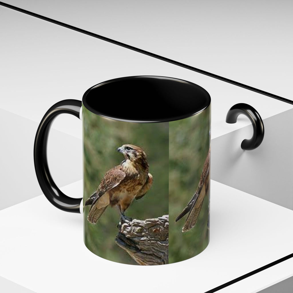 Kestrel Falcon Photo Mug | Accent Coffee Mug 11oz 15oz