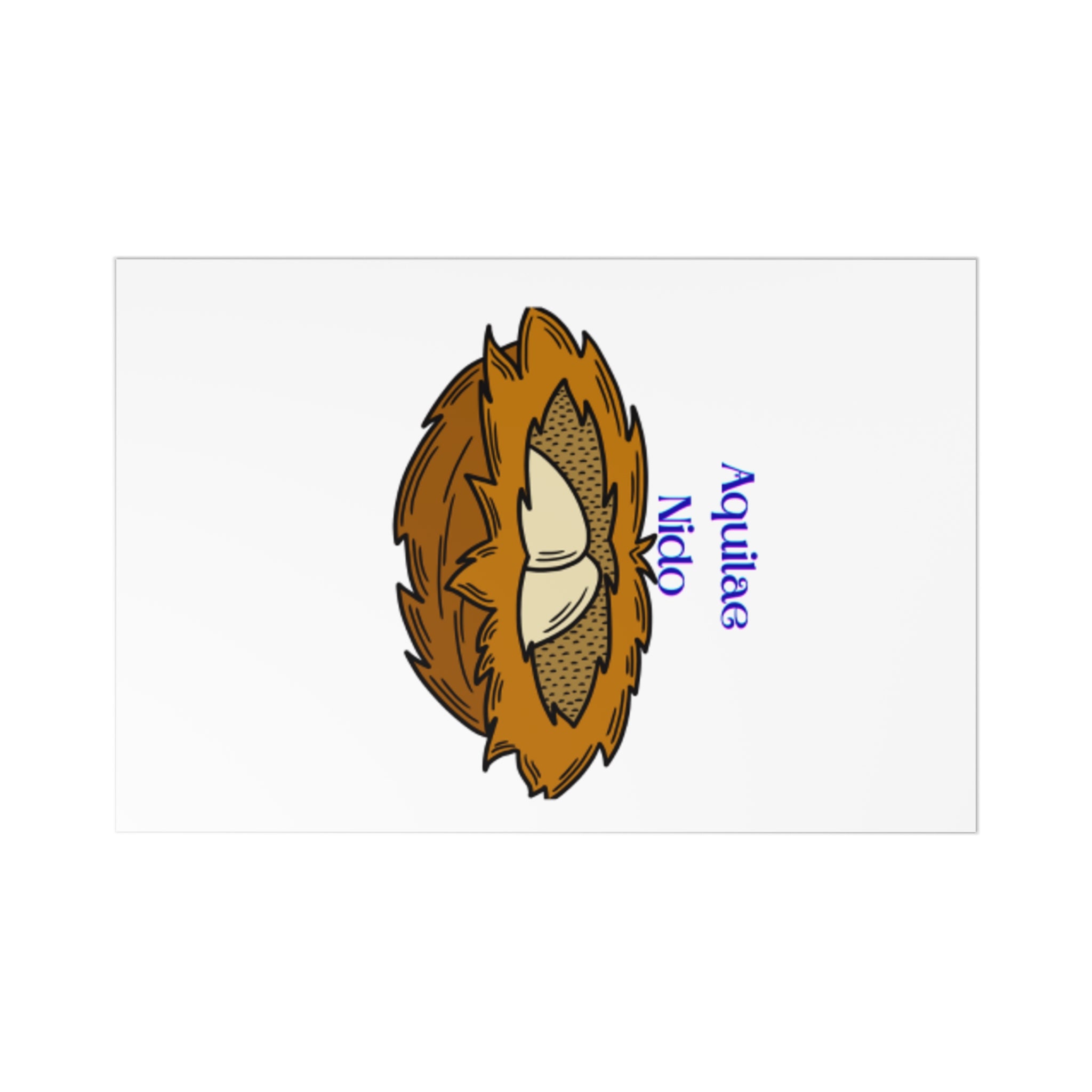 Aquilae Nido Nest Illustration Postcards | Set of 7