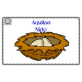 Aquilae Nido Nest Illustration Tablet Folio Case | Bird Nest Design