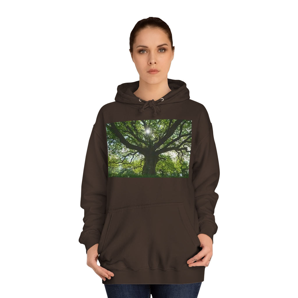 Sunlit Oak Tree Hoodie | Forest Nature Photography, Green Tree Sweatshirt