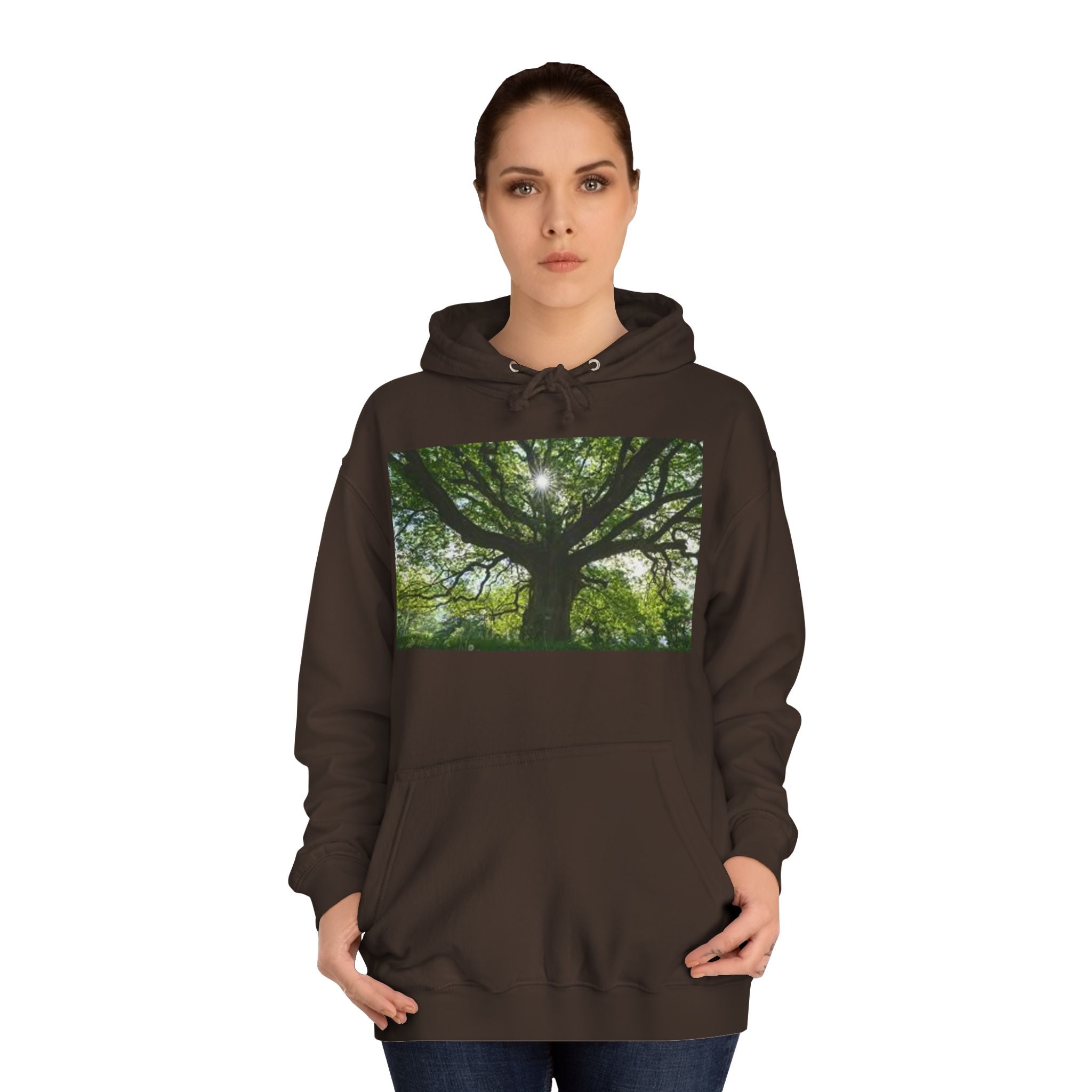 Sunlit Oak Tree Hoodie | Forest Nature Photography, Green Tree Sweatshirt