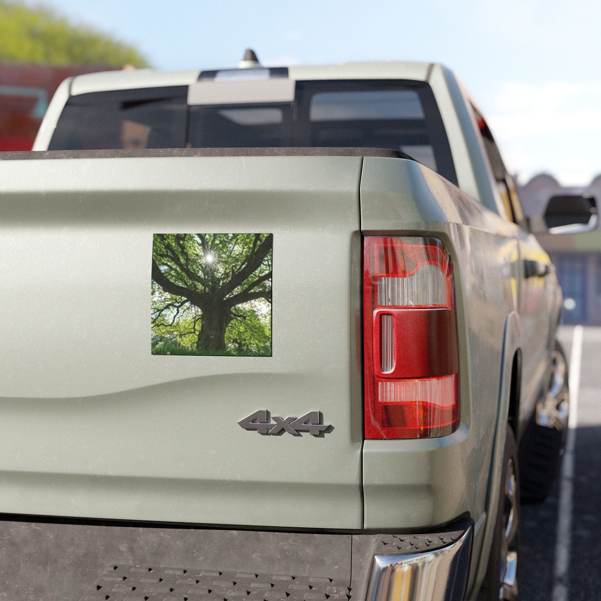 Sunlit Oak Tree Car Magnet | Large Nature Decal