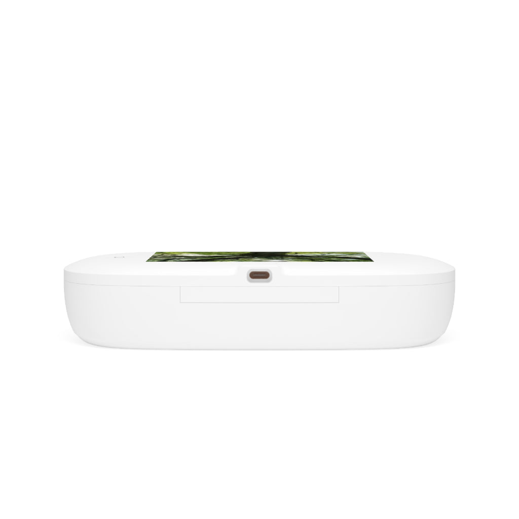Sunlit Oak Tree UV Phone Sanitizer and Wireless Charging Pad | Nature Photo