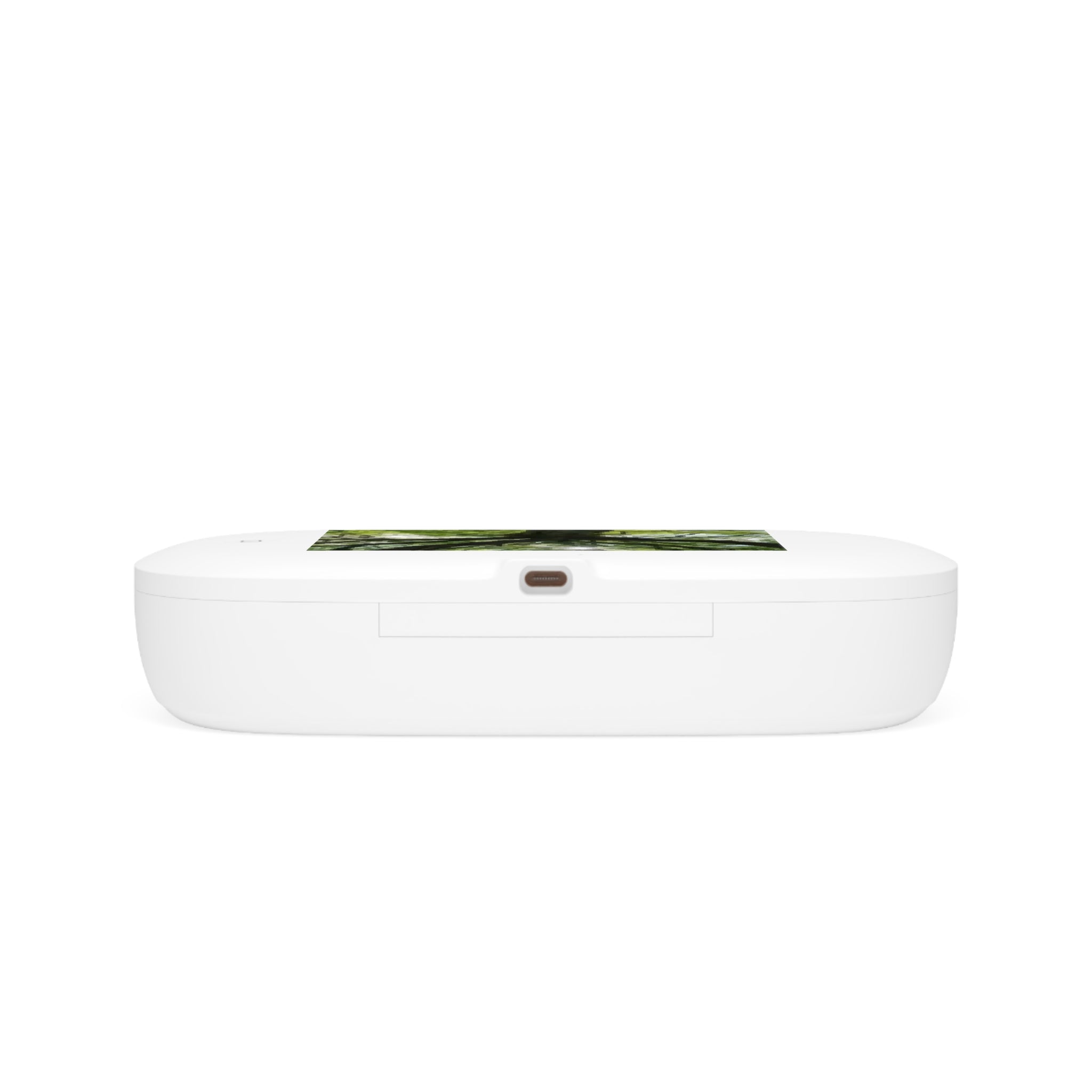 Sunlit Oak Tree UV Phone Sanitizer and Wireless Charging Pad | Nature Photo