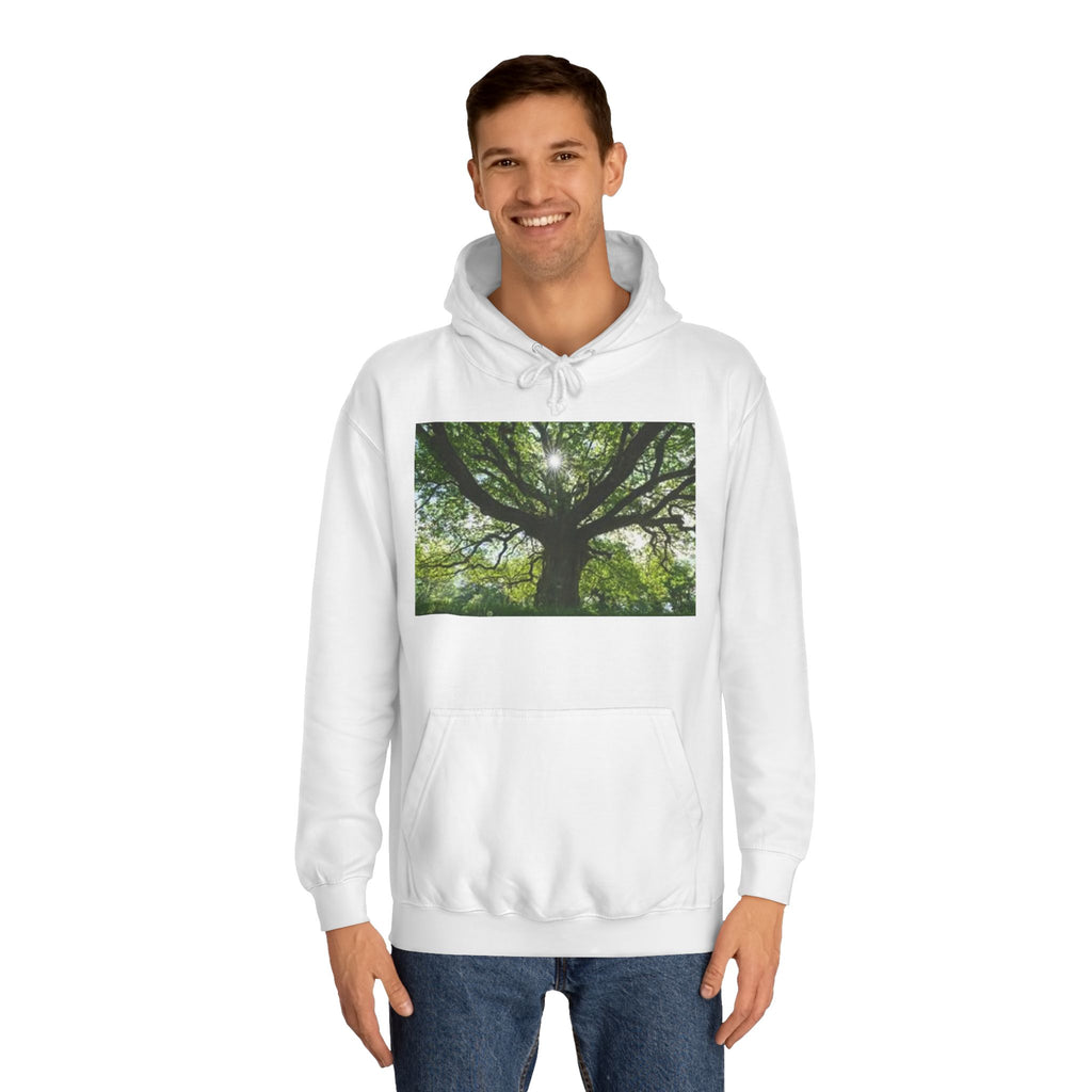 Sunlit Oak Tree Hoodie | Forest Nature Photography, Green Tree Sweatshirt