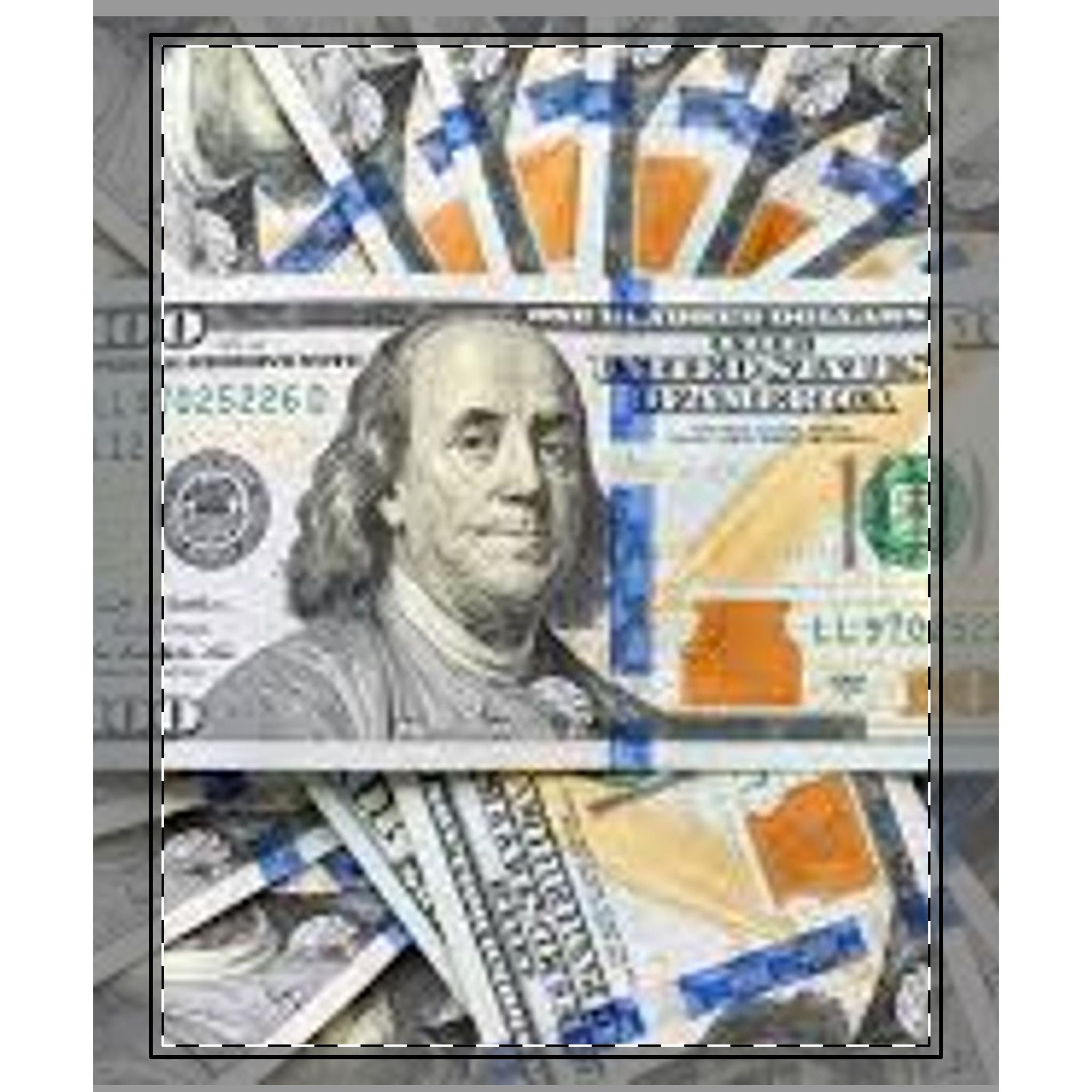 Hundred Dollar Bill Woven-Style Coverlet | Money Print Coverlet