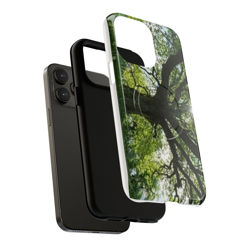 Sunlit Oak Tree Phone Case | Tough Magnetic Case