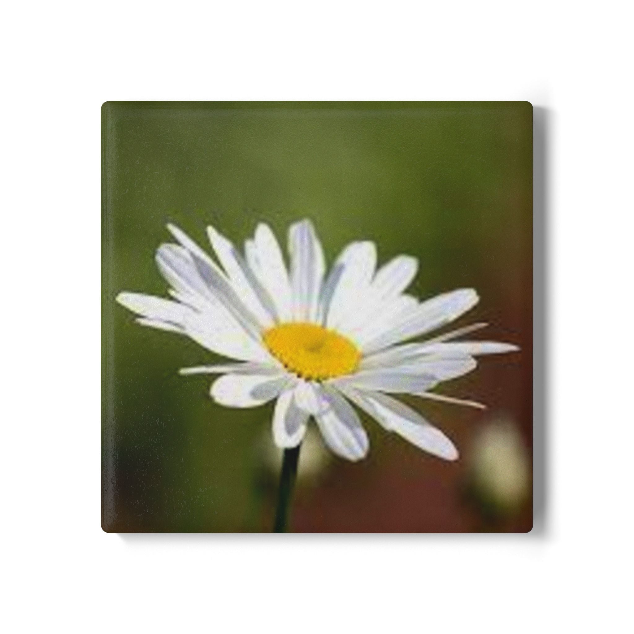 White Daisy Illustration Ceramic Coaster | Floral Drink Coaster, Cork Back