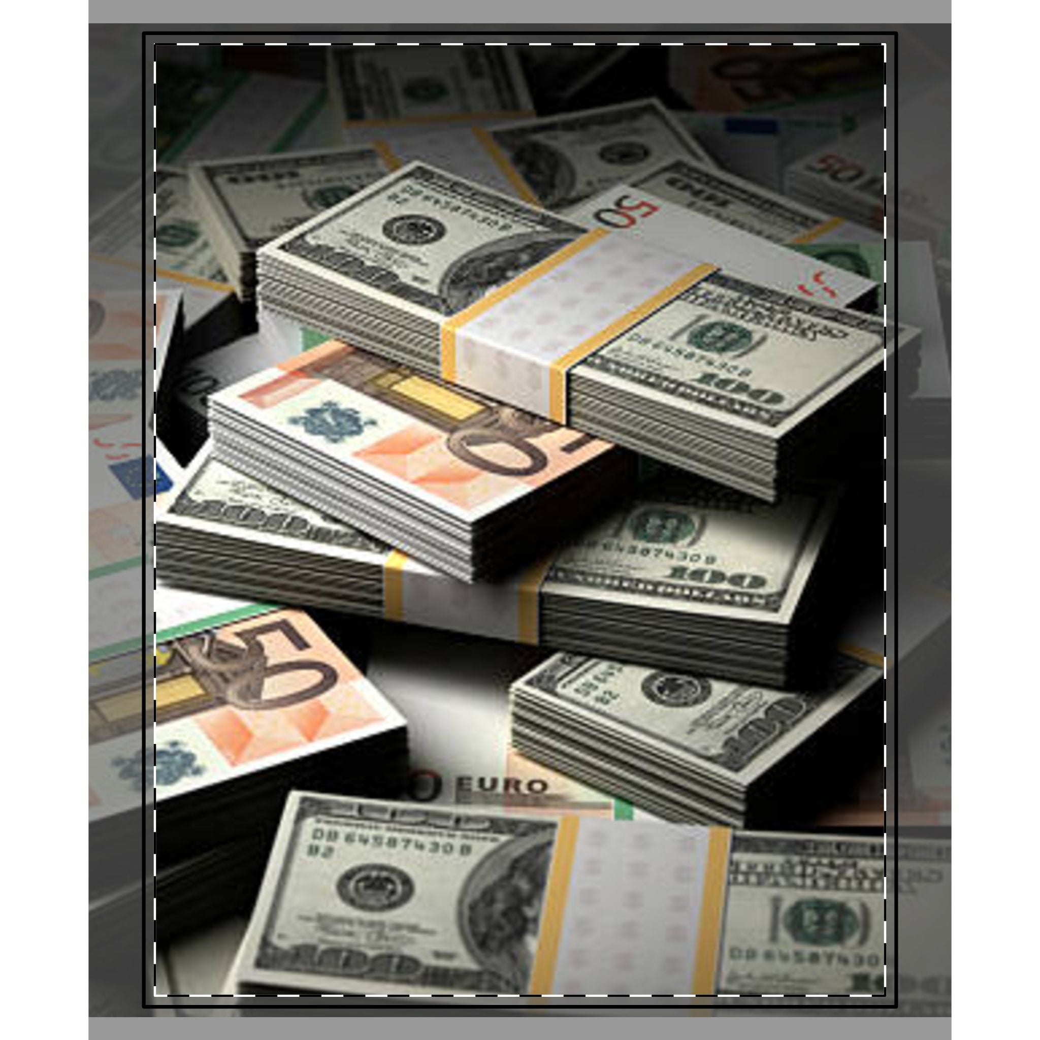 Stacked Cash Print Woven-Style Coverlet | Money Pattern Coverlet