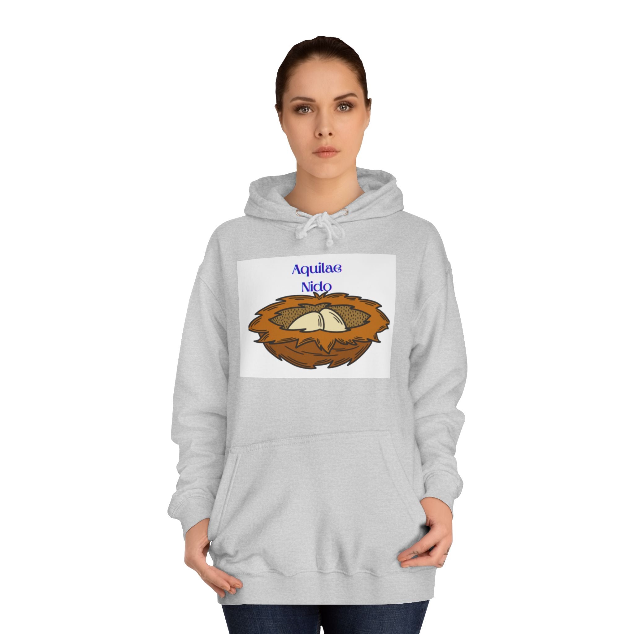 Aquilae Nido Nest Illustration Hoodie | College Crest Style