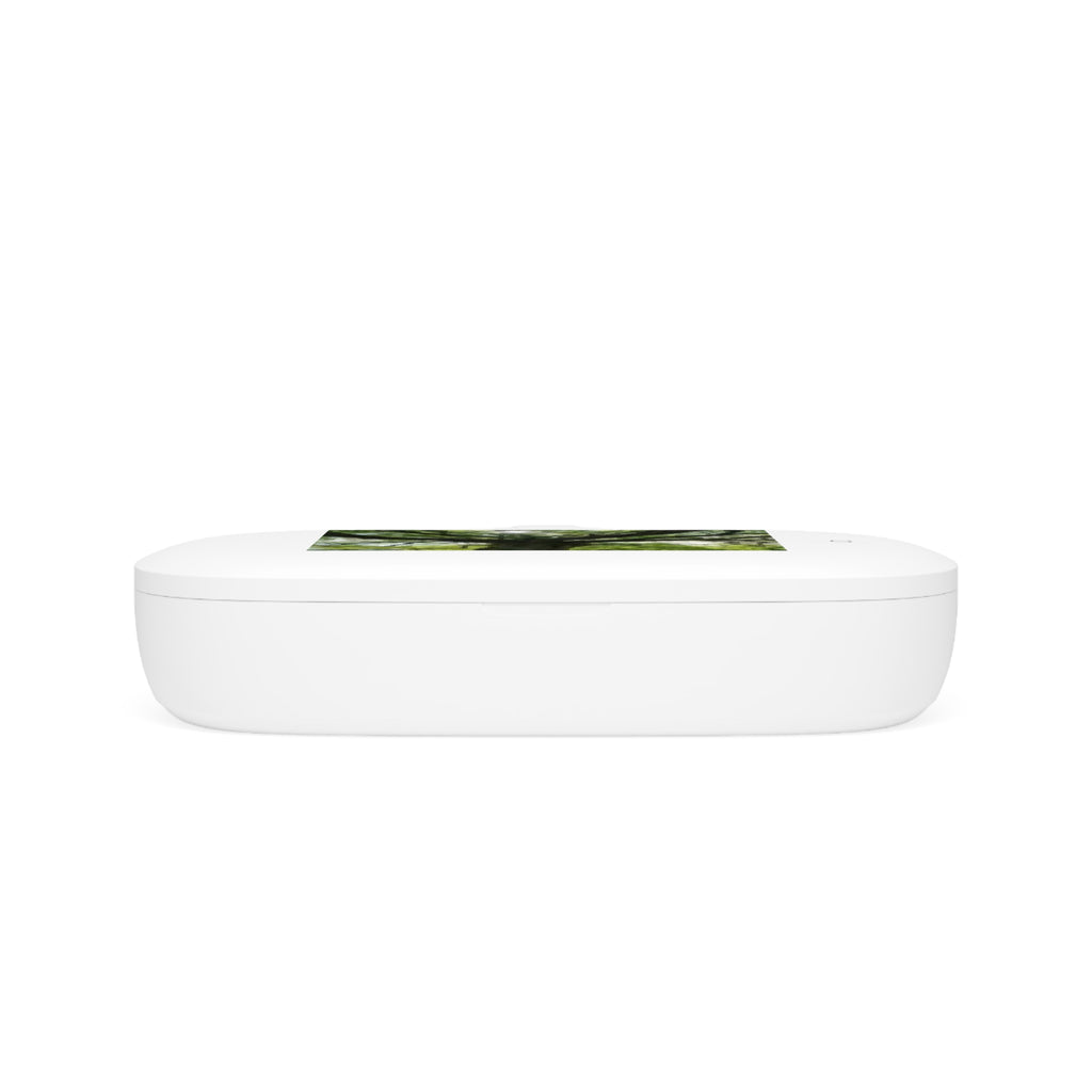 Sunlit Oak Tree UV Phone Sanitizer and Wireless Charging Pad | Nature Photo