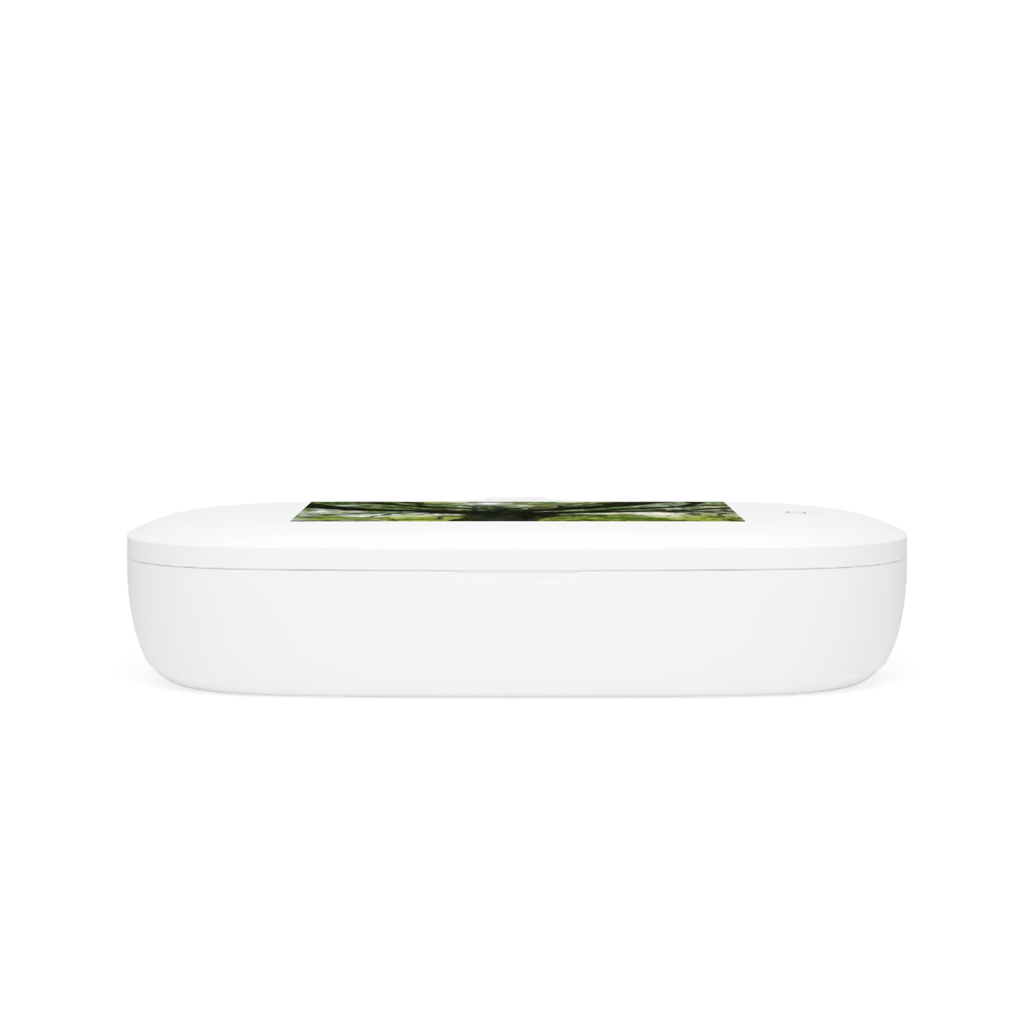 Sunlit Oak Tree UV Phone Sanitizer and Wireless Charging Pad | Nature Photo