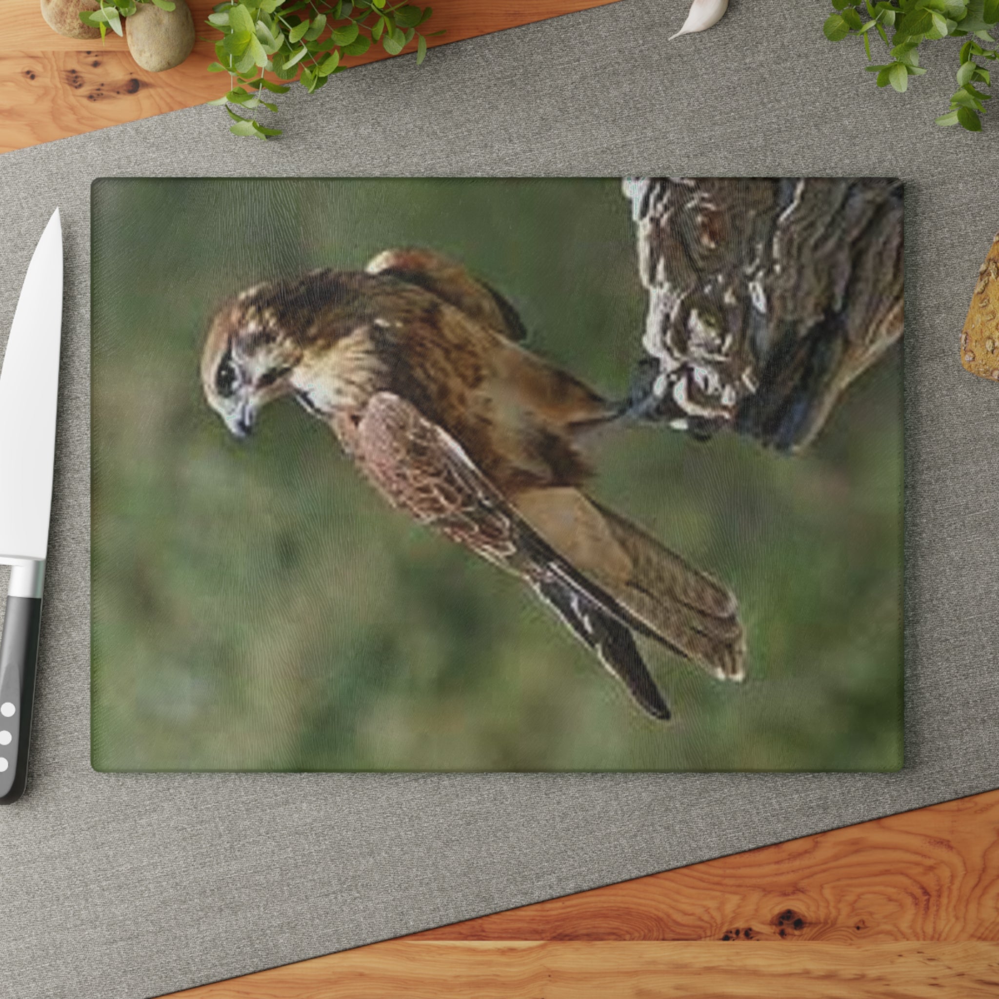 Kestrel Bird Glass Cutting Board | Wildlife Falconry Kitchen Decor