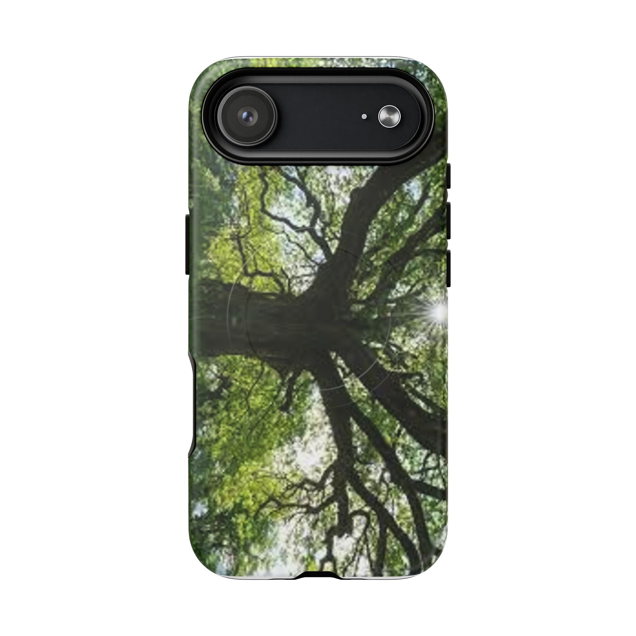 Sunlit Oak Tree Phone Case | Tough Magnetic Case