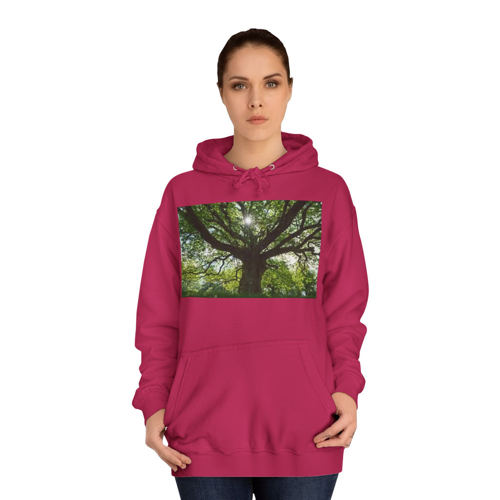 Sunlit Oak Tree Hoodie | Forest Nature Photography, Green Tree Sweatshirt