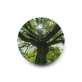 Sunlit Oak Tree Acrylic Wall Clock | Nature Forest Decor
