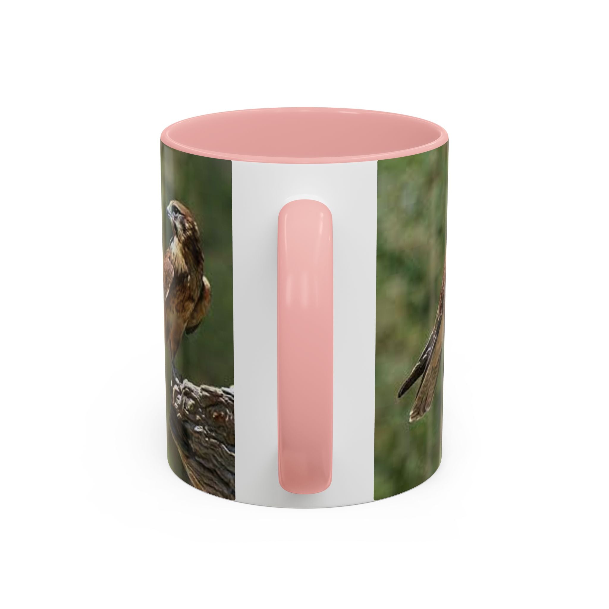 Kestrel Falcon Photo Mug | Accent Coffee Mug 11oz 15oz