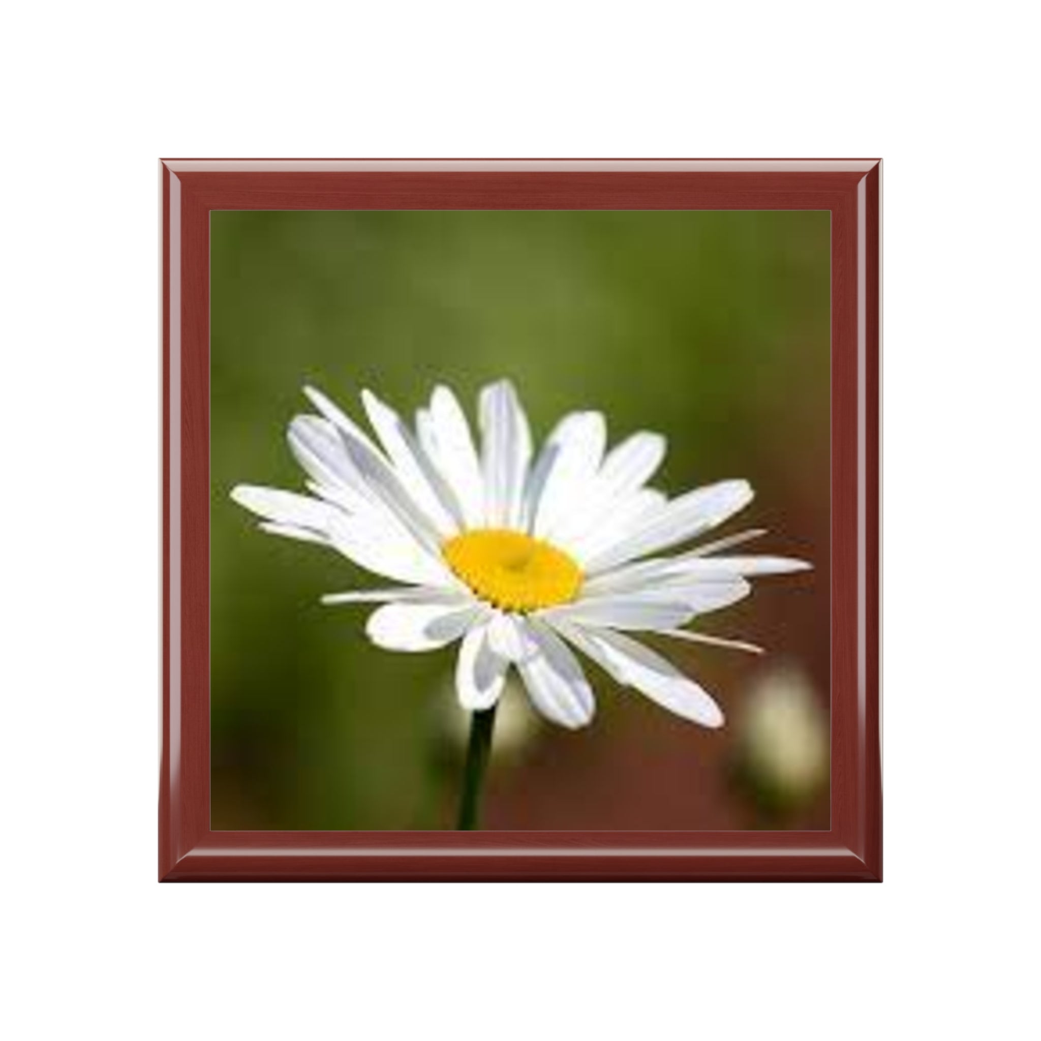 White Daisy Photo Jewelry Box | Floral Keepsake Trinket Box