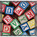 Alphabet Blocks Coverlet
