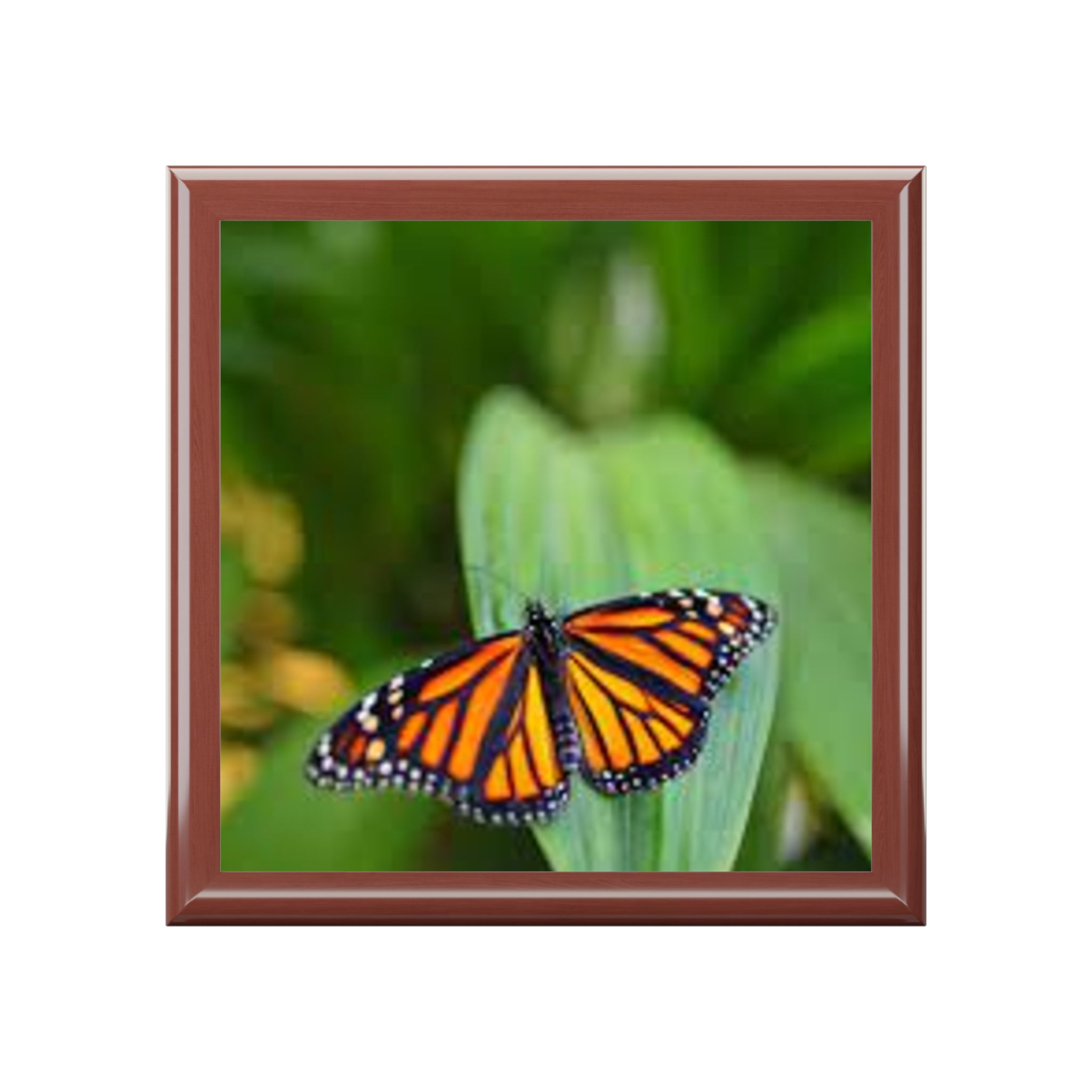 Monarch Butterfly Jewelry Box | Floral Green Nature Keepsake