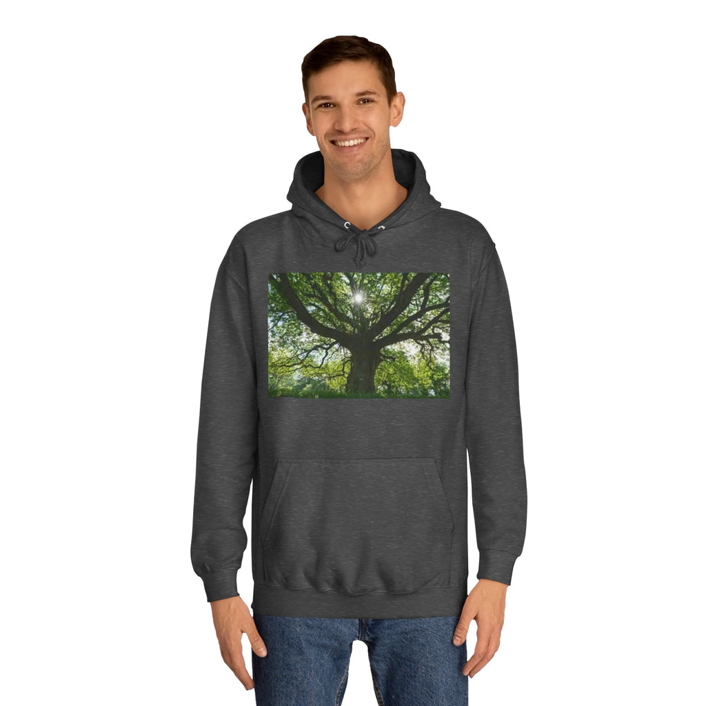 Sunlit Oak Tree Hoodie | Forest Nature Photography, Green Tree Sweatshirt
