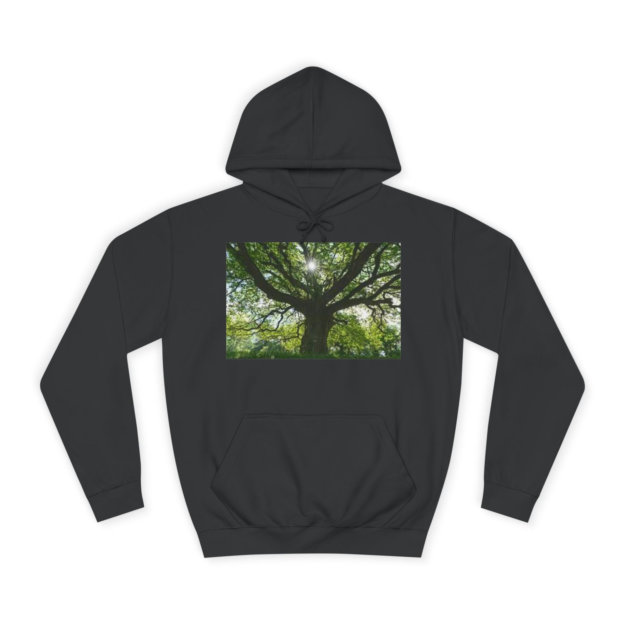Sunlit Oak Tree Hoodie | Forest Nature Photography, Green Tree Sweatshirt