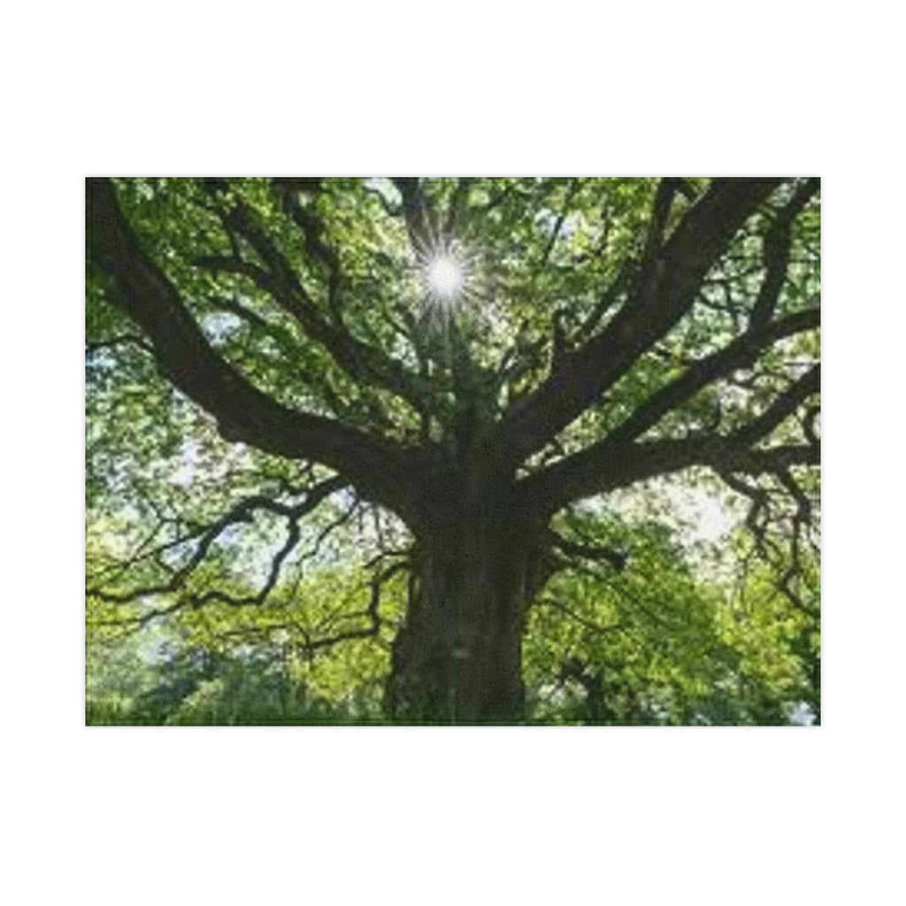 Sunlit Canopy Tree Toddler Blanket | Forest Nature Nursery Decor