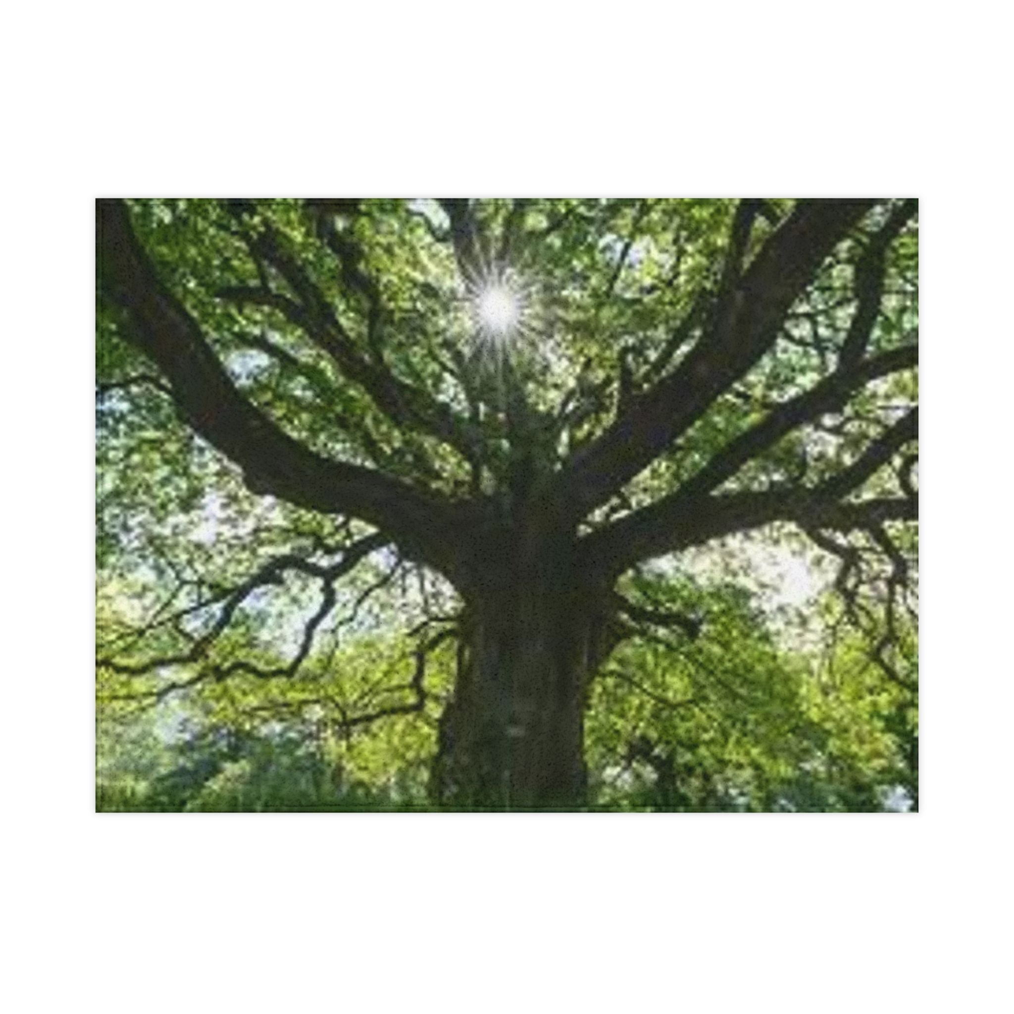 Sunlit Canopy Tree Toddler Blanket | Forest Nature Nursery Decor