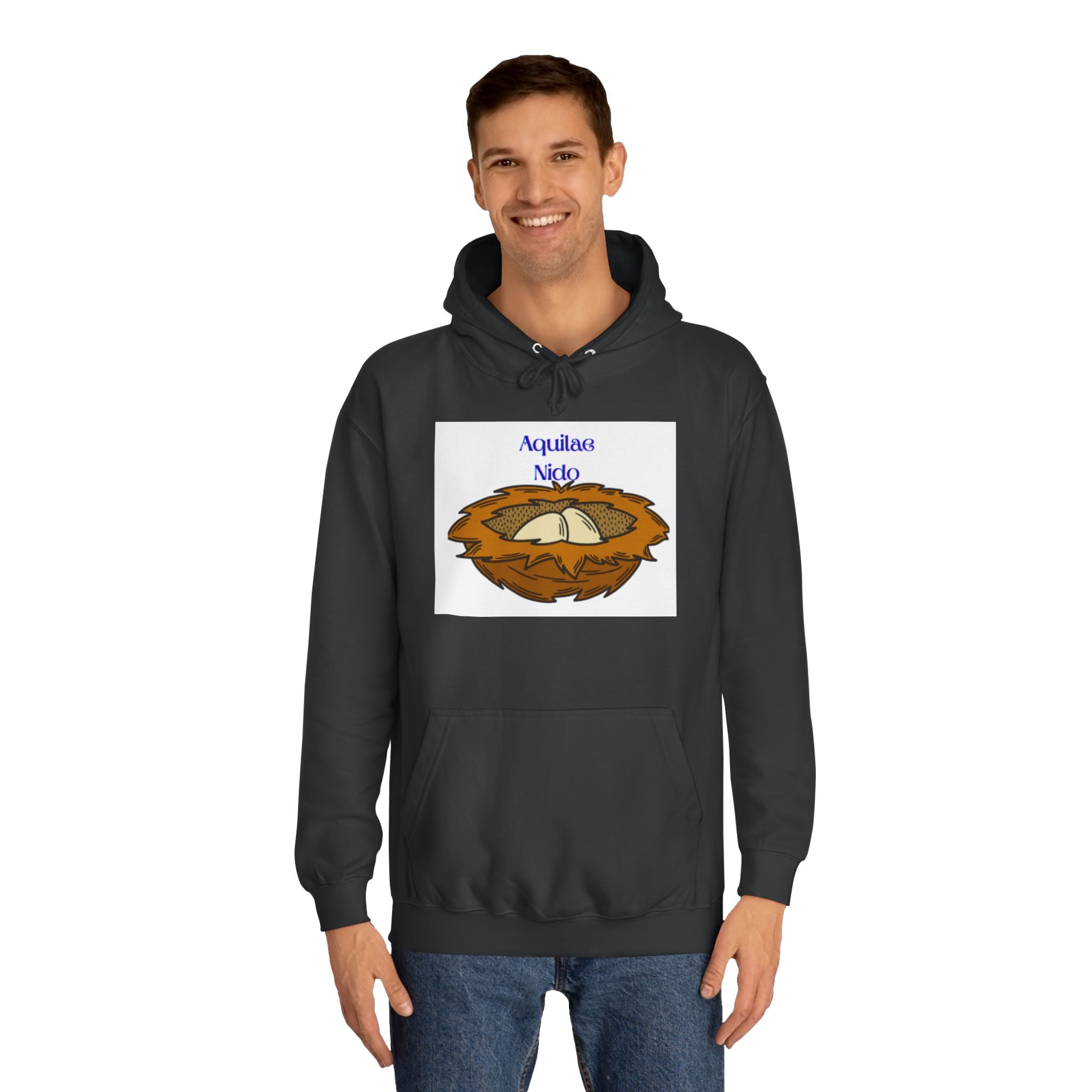 Aquilae Nido Nest Illustration Hoodie | College Crest Style