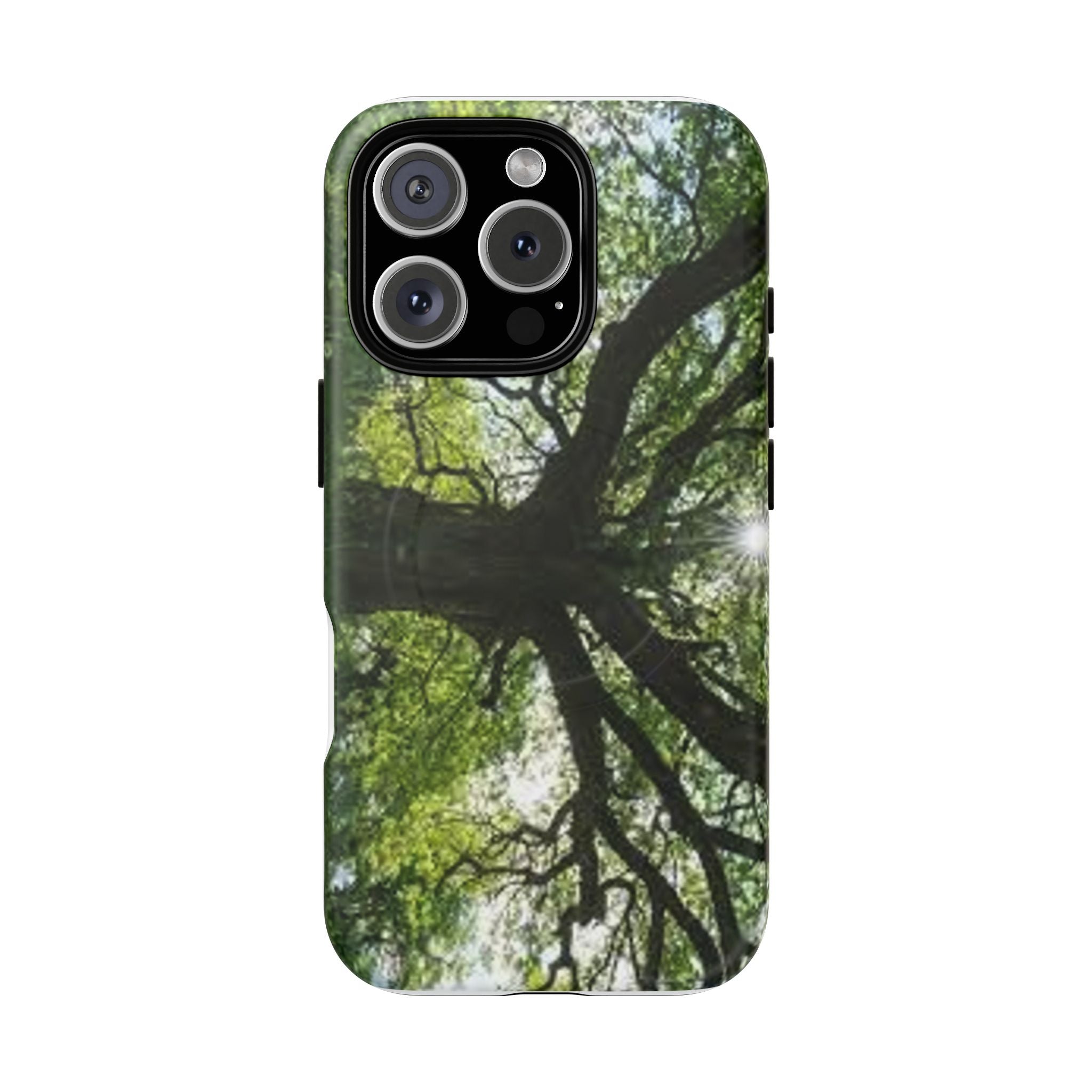 Sunlit Oak Tree Phone Case | Tough Magnetic Case